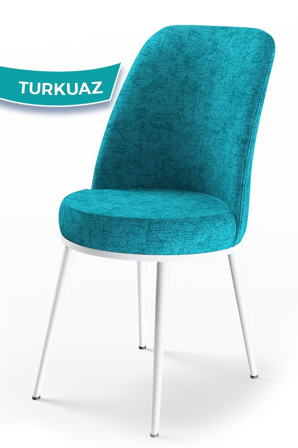 Canisa Concept Dexa Serisi Turkuaz Renk Sandalye Mutfak Sandalyesi, Yemek Sandalyesi Ayaklar Beyaz