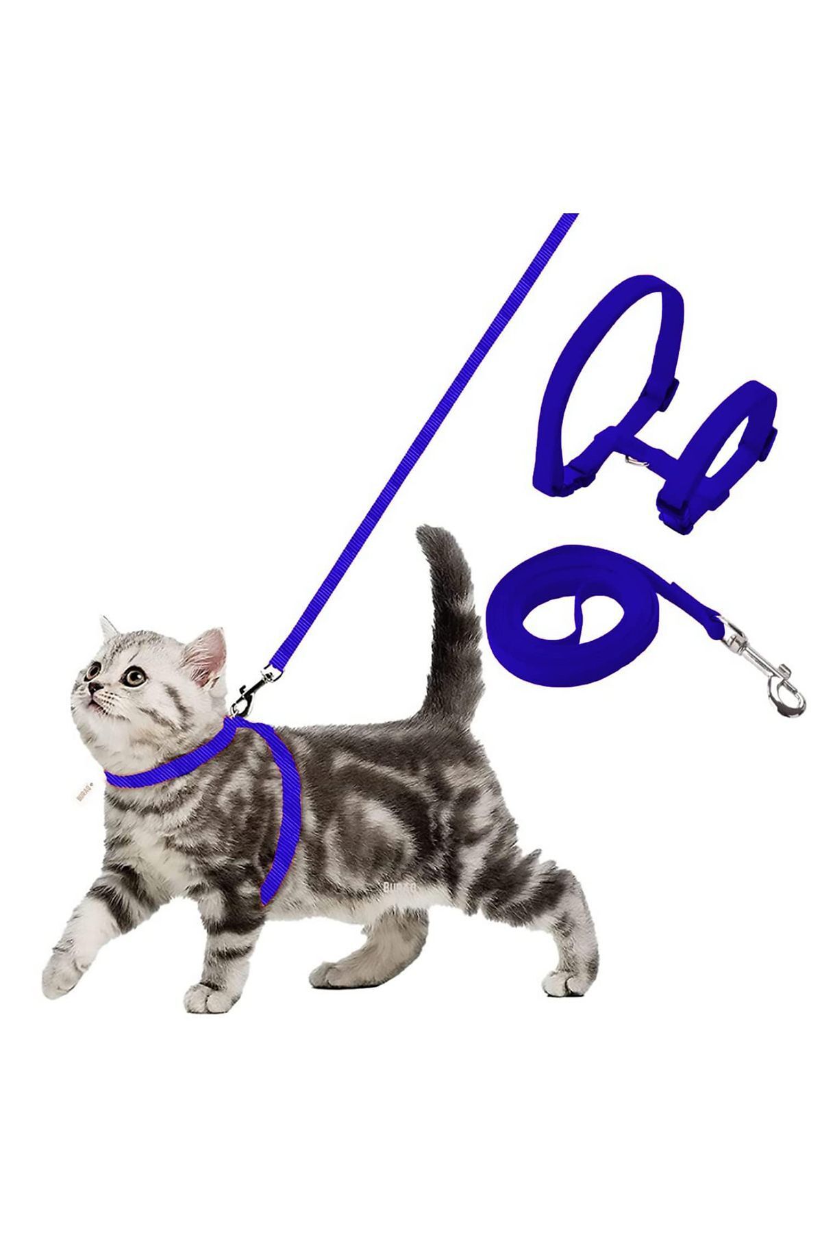 Factorial Kedi Gezdirme Tasması Boyunluklu Kayış Petshop Ürün Kedi Tasma Tırnak Makası Kedi Yuvası