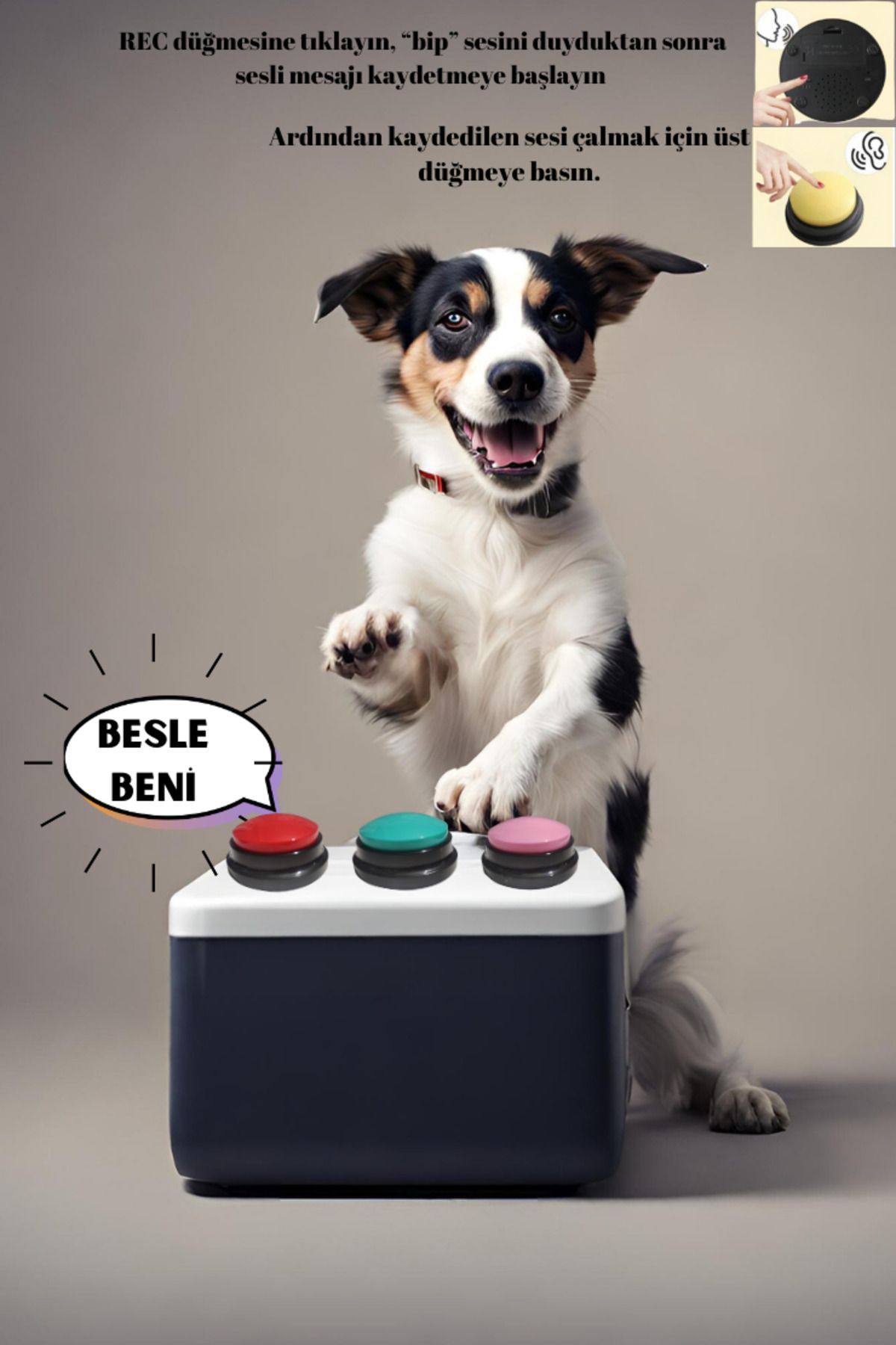 Annadue Kaydedilebilir Köpek Konuşma Butonları 3lü Set , Köpek Eğitim Butonu, Kırmızı Pembe Camgöbeği