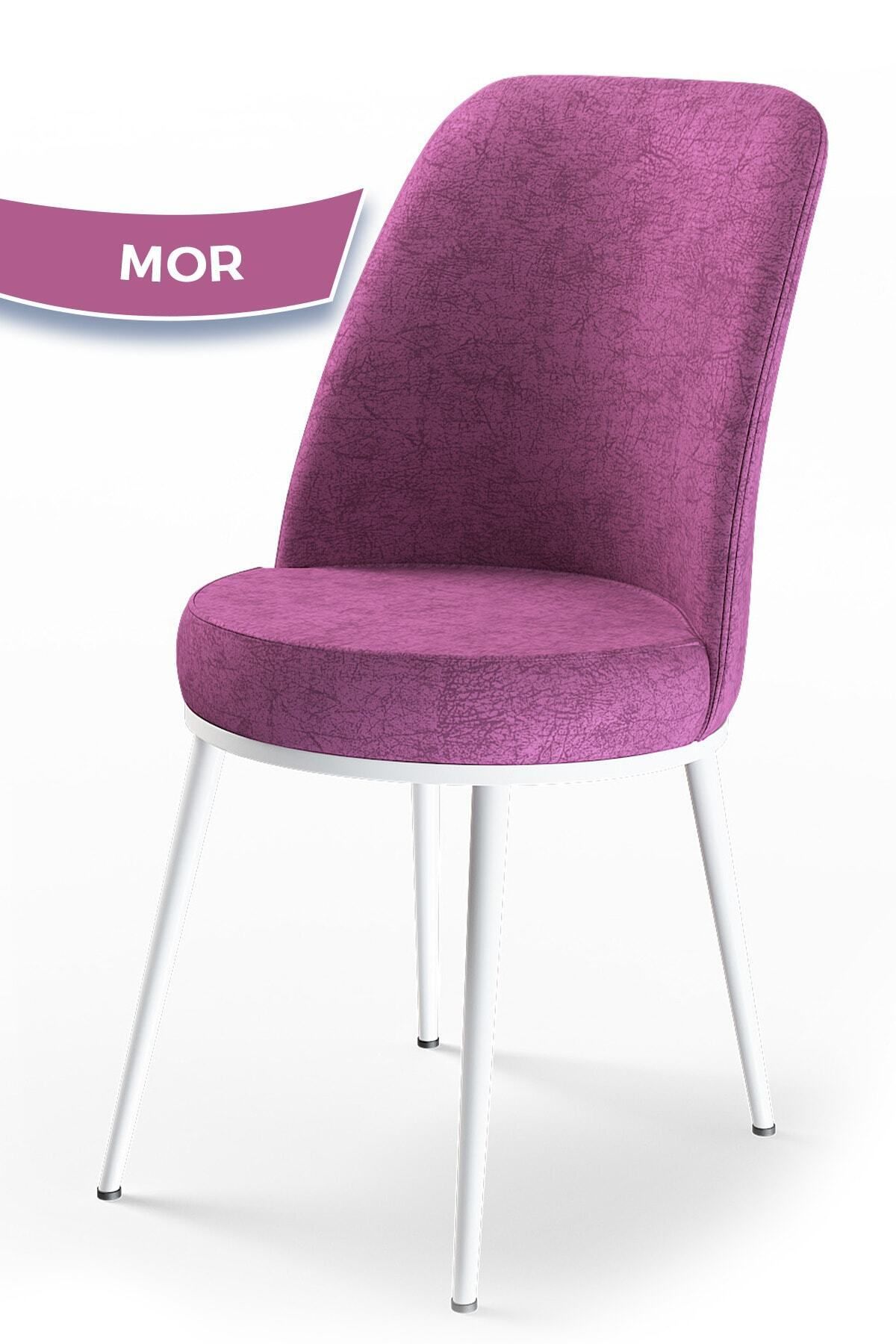Canisa Concept Dexa Serisi Mor Renk Sandalye Mutfak Sandalyesi, Yemek Sandalyesi Ayaklar Beyaz