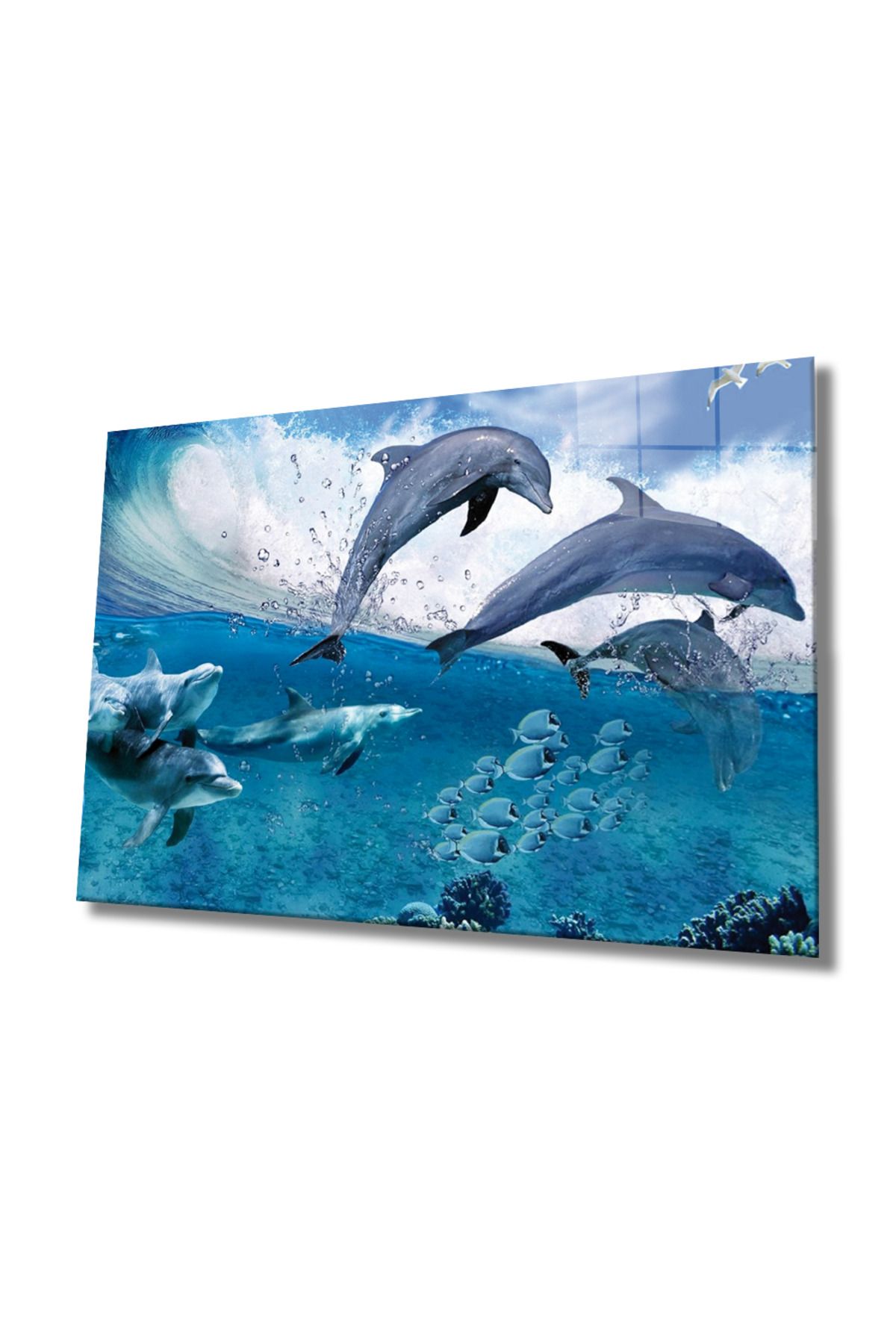 NCWORLD NW Özel  Yunus Balıkları Cam Tablo Dolphins