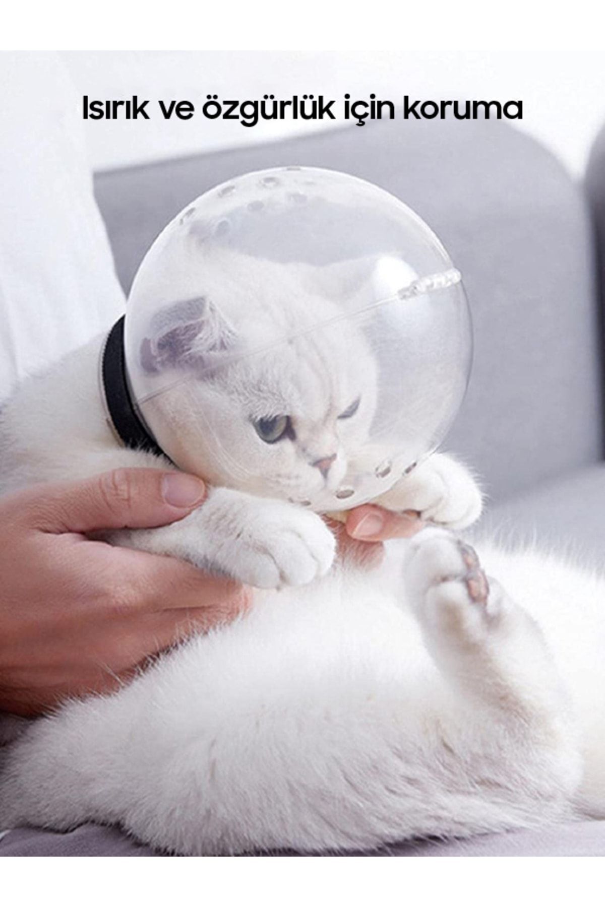 Felis Toys Kedi Bakım Küresi Kedi Anti Yalama Isırma
