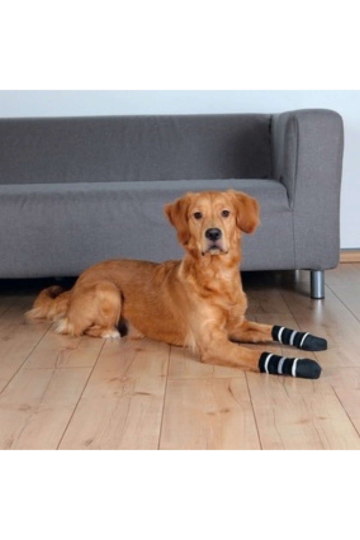 Trixie Köpek Çorabı Kaymaz L-XL 2 Adet 353067