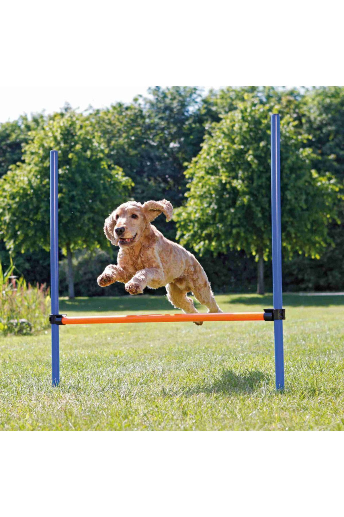 Trixie Köpek Agility Eğitim Manisi 129×115×3cm 353067