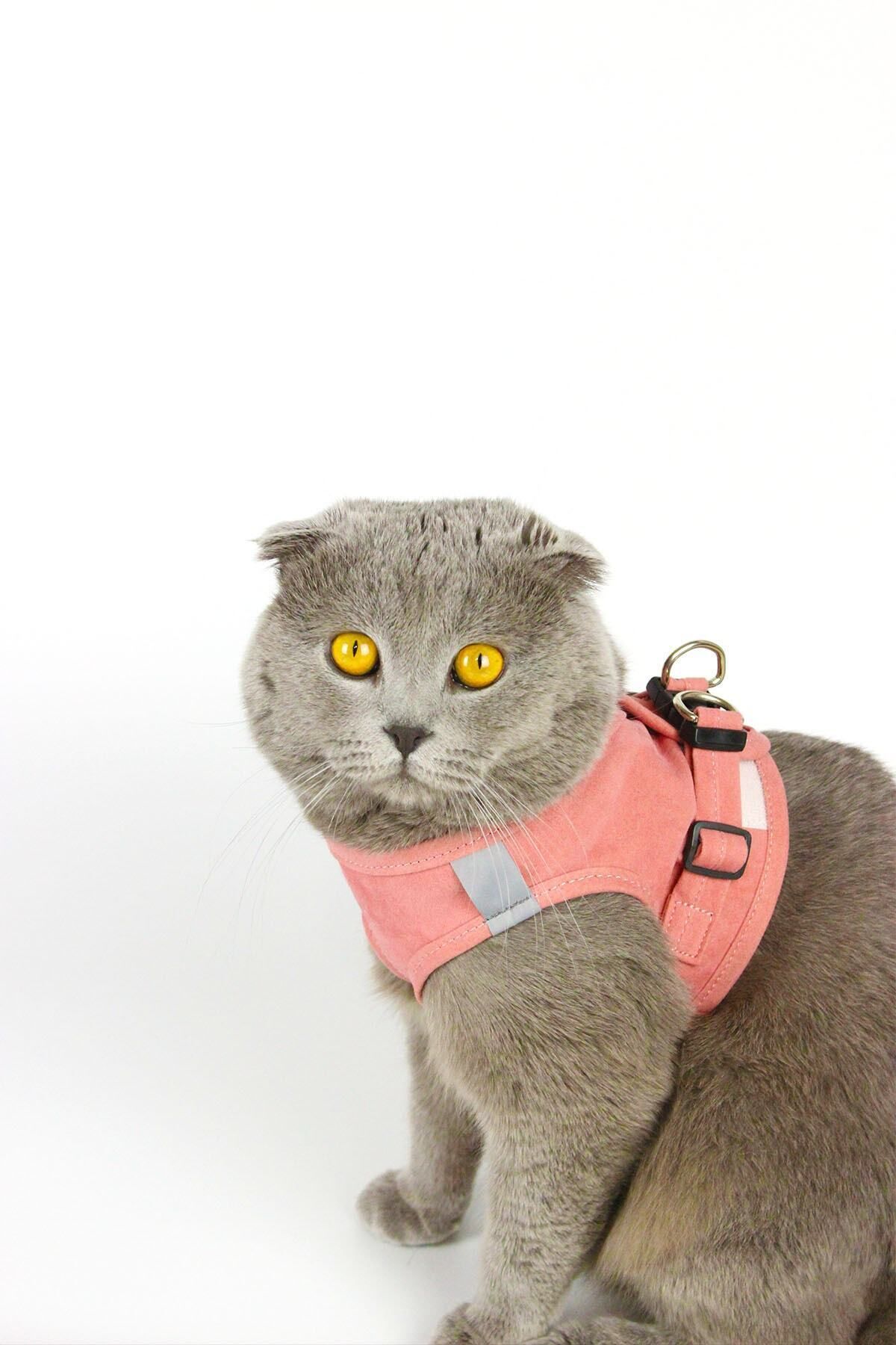 Petköy Kedi Gezdirme Tasması - Kedi Tasması Göğüs Tasma Seti Yumuşak Süet Pembe Renk