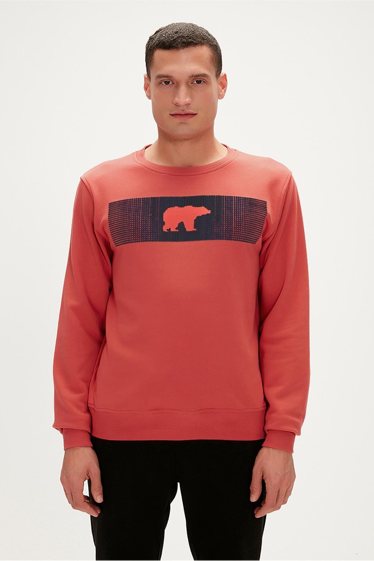 Bad Bear Fancy Crewneck Ginger Tarçın 3D Baskılı Erkek Sweatshirt