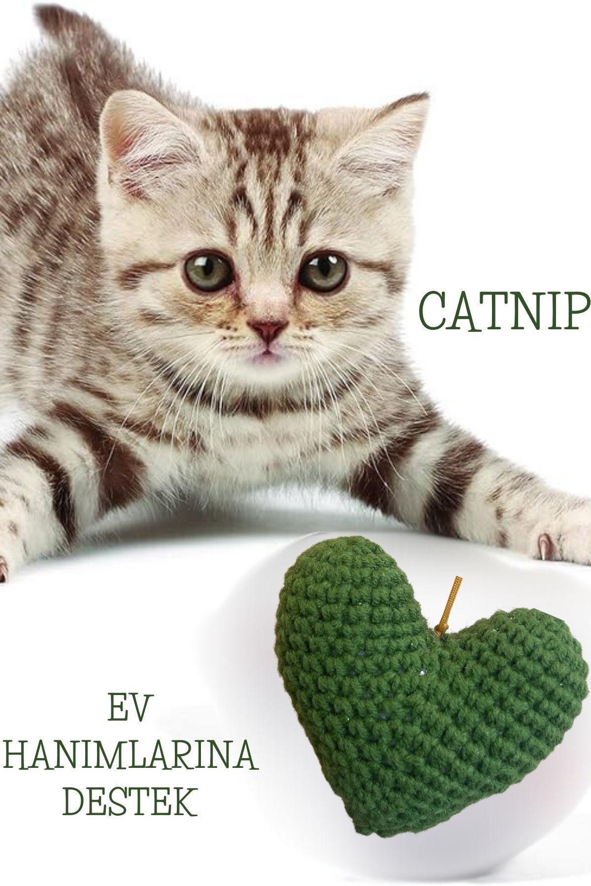 Pet Station Retro El Örgüsü Kedi Nanesi Otu Dolgulu Oyuncağı Catnip