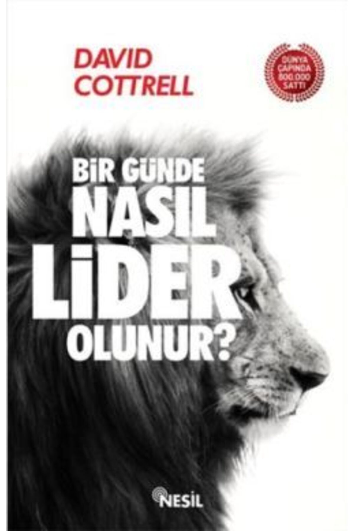 Nesil Yayınları Bir Günde Nasıl Lider Olunur?