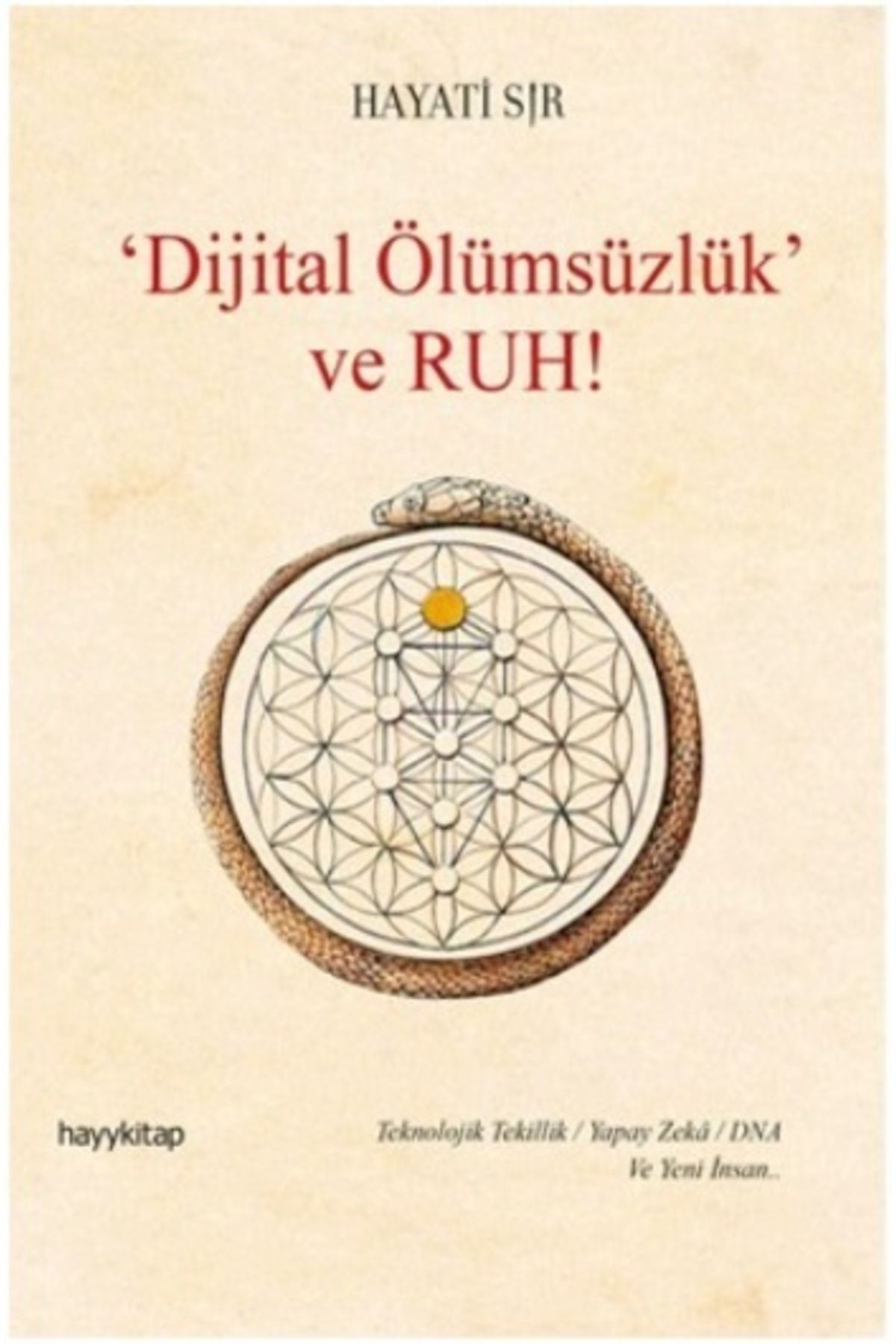 Hayykitap Dijital Ölümsüzlük Ve Ruh