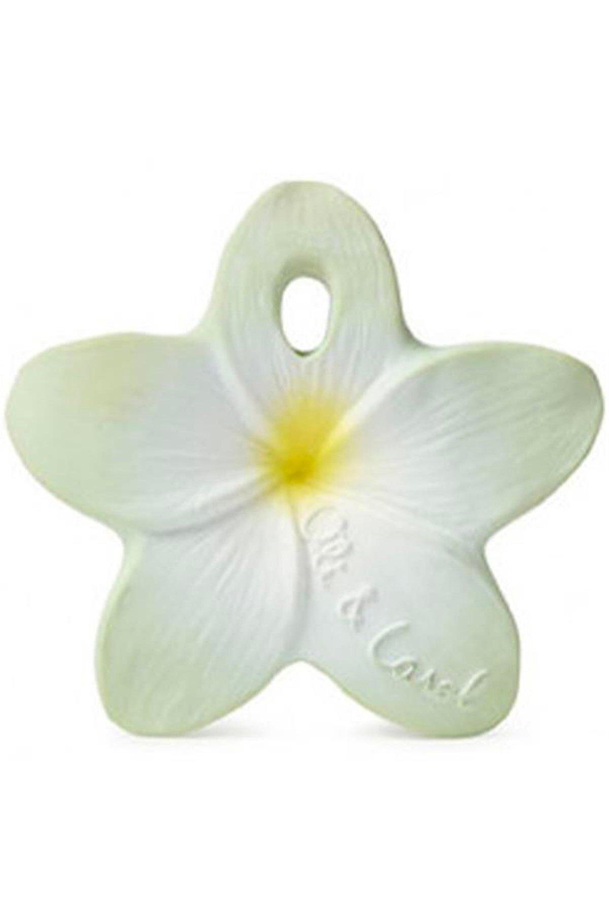 OLI CAROL Bally The Flower Mint Doğal Diş Kaşıyıcı