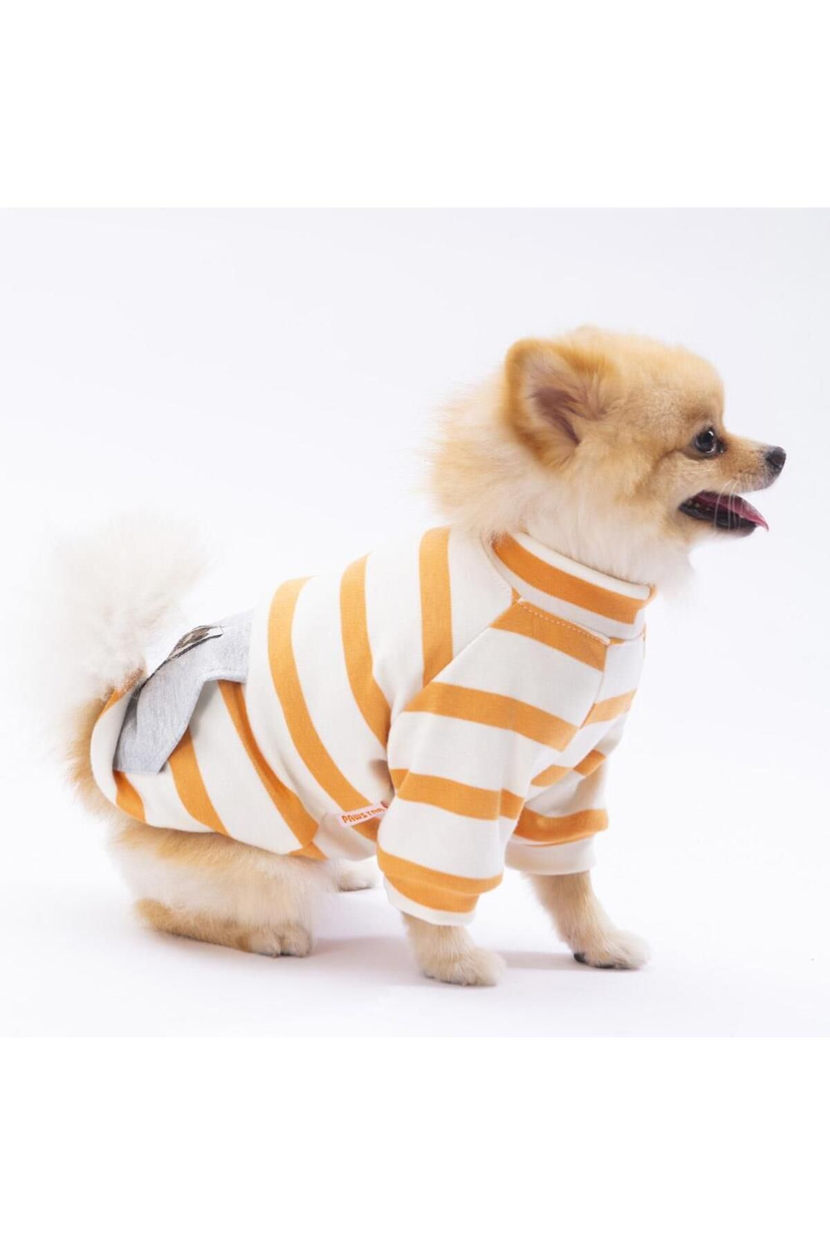 Pettrend Sarı Çizgili Teddy Ayıcık Bear Kedi- Köpek Sweatshirt Kedi Köpek Kıyafeti Köpek Giysisi