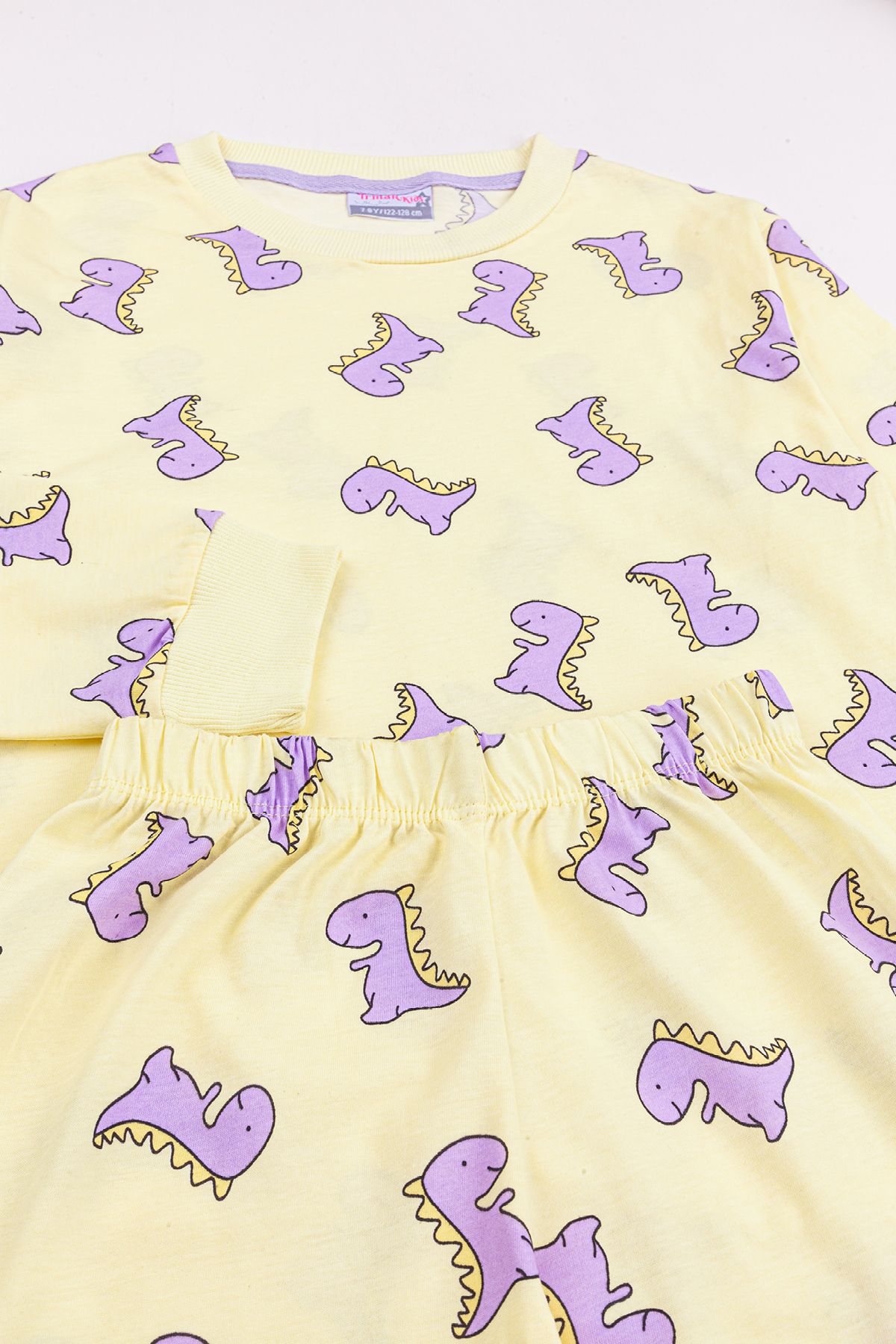 Irmak kids Dinazor Desen Kız Çocuk Pijama Takımı