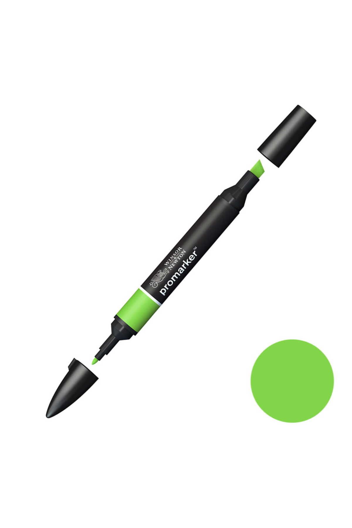 Winsor Newton Winsor & Newton Promarker Bright Green 069 (G267)