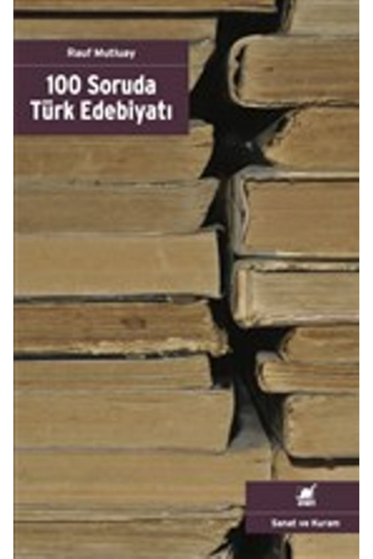 Ayrıntı Yayınları 100 Soruda Türk Edebiyatı