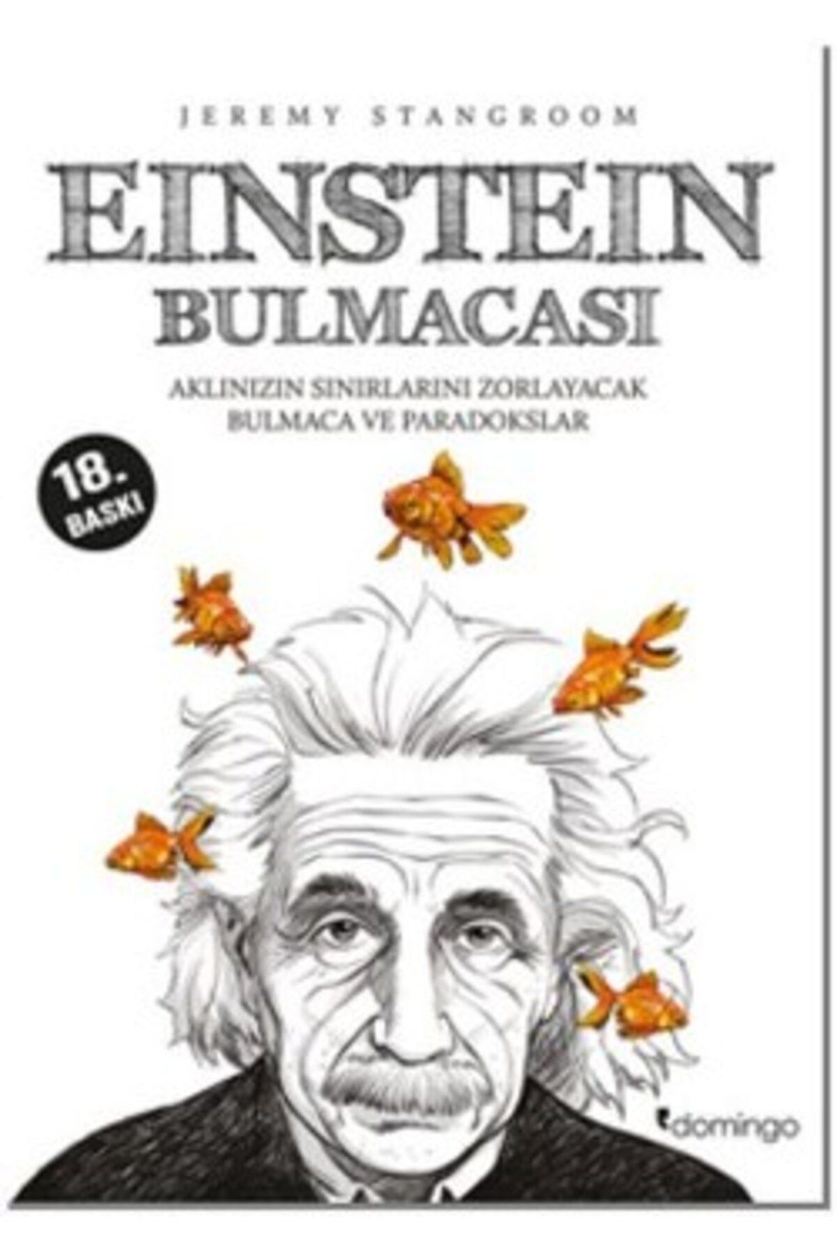 Domingo Yayınevi Einstein Bulmacası 1