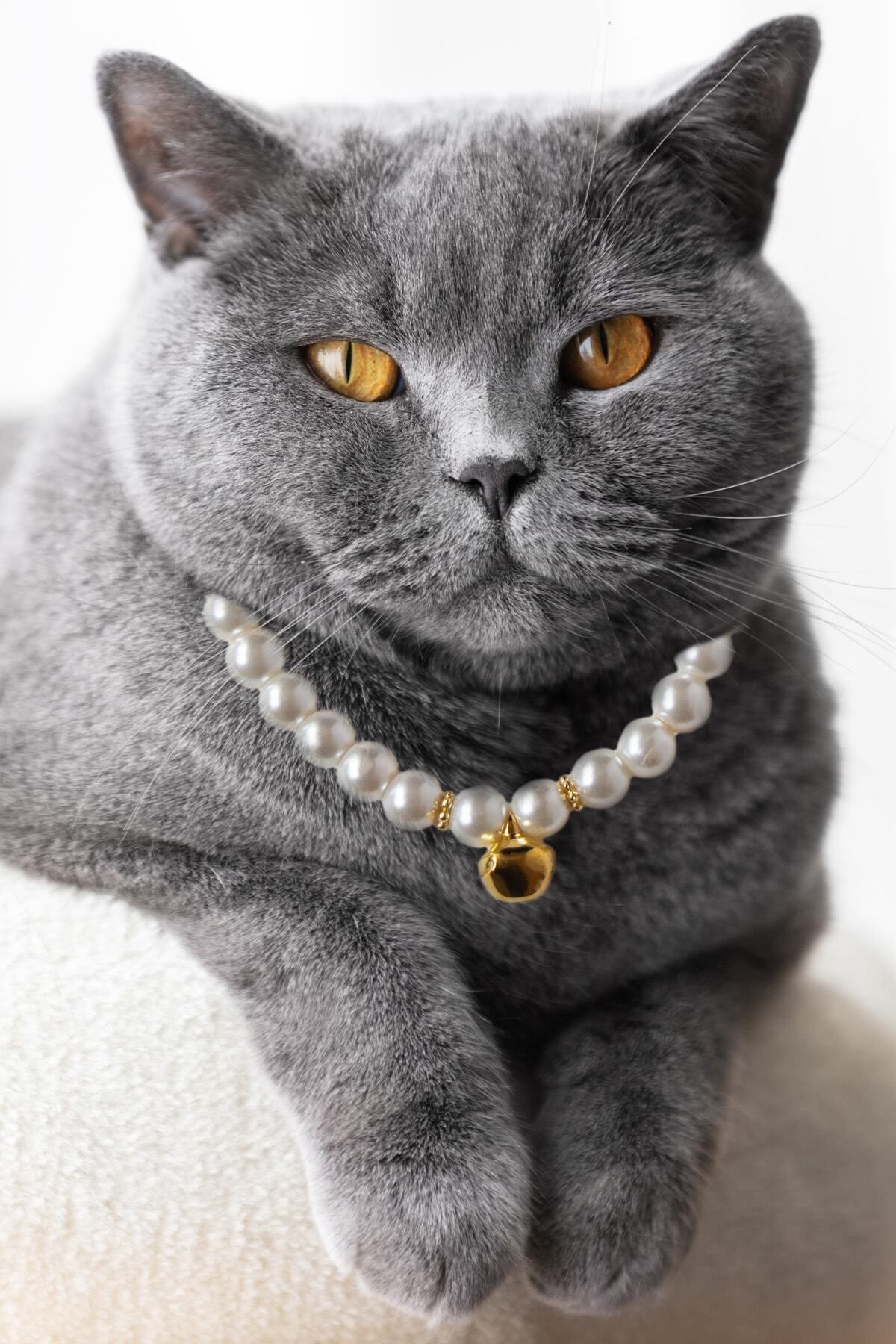 Petella Kedi Boyun Tasması Kedi Kolyesi Ayarlanabili Zilli Kedi Boyun Tasması Cam Incili Gold