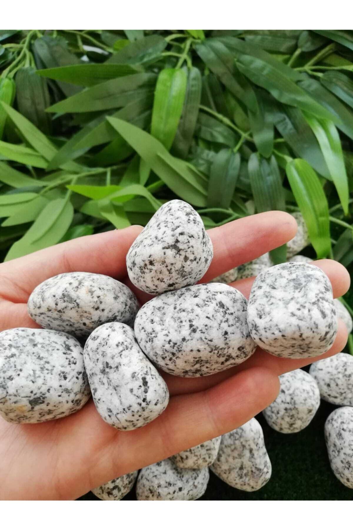 Ekodoğa Granit Dolomit Taş 3 kg 2,5-4 cm Siyah Beyaz Taş Dekoratif Taş Bahçe Taşı Dekor Taşı