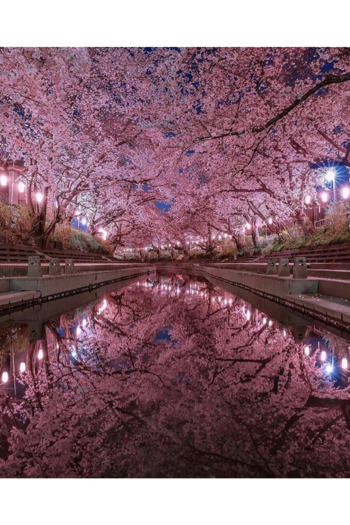 Movas Sanat Japonya Kiraz Çiçekleri Parkı | Elmas Mozaik Tablo | Mozaik Puzzle | 45x55 | E20203310
