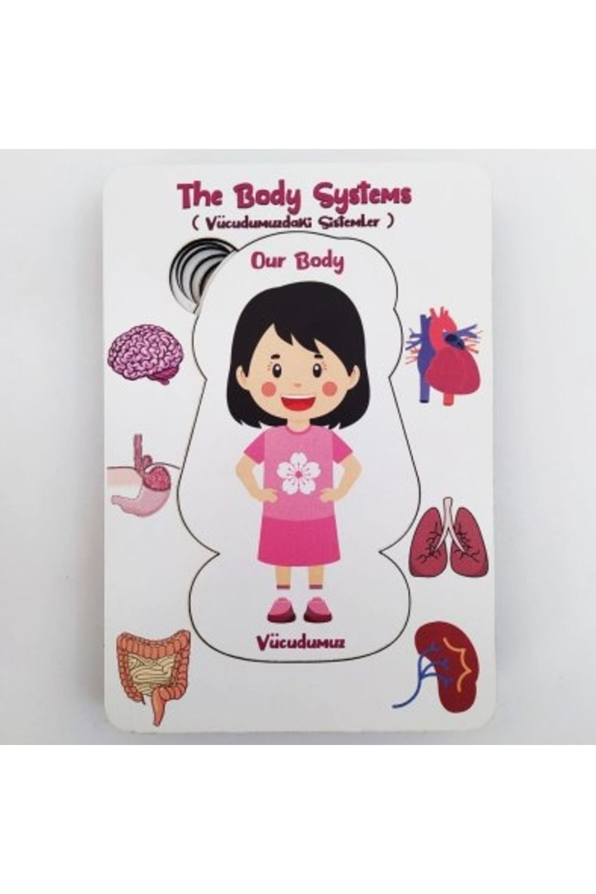 NevaDekorasyon Vücudumuz Sistemleri Kız Eğitici Öğretici Geliştirici Boyanabilir Ahşap80