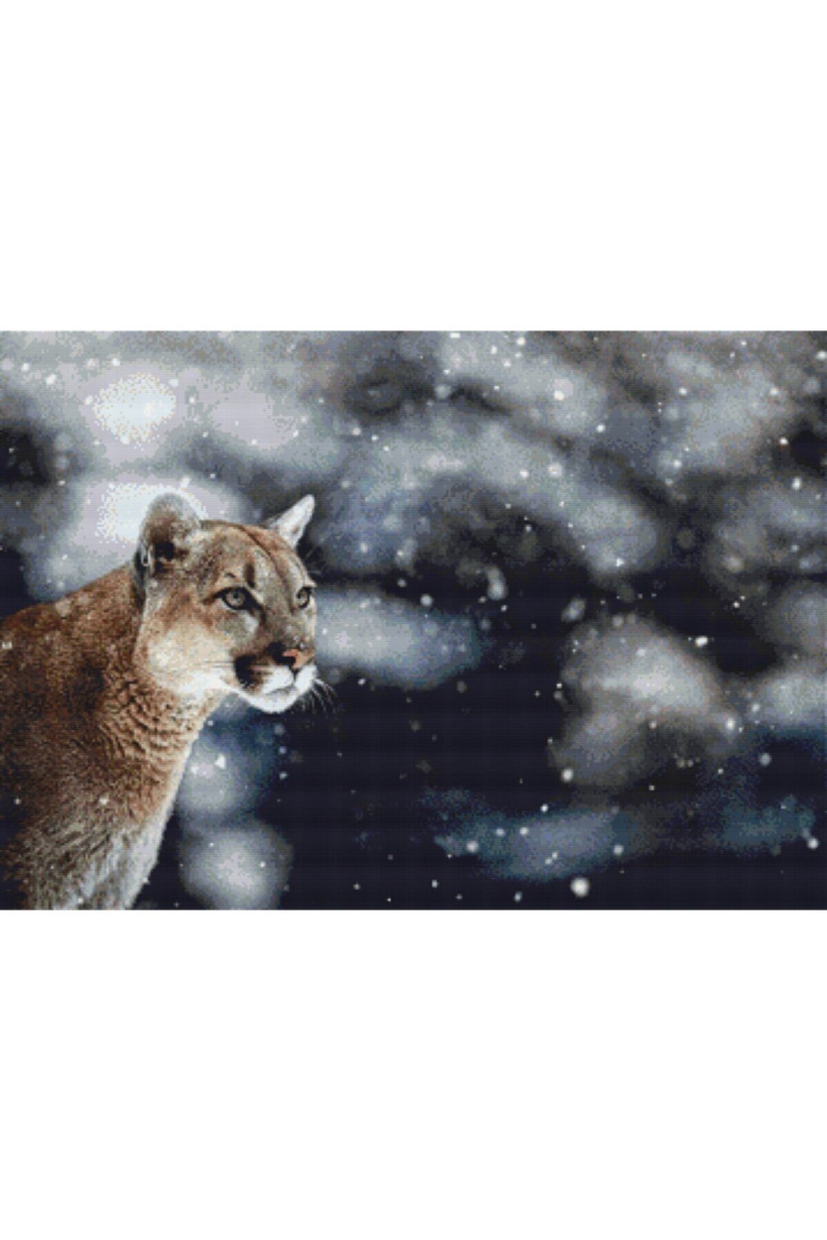MOVAS Sanat Karda Bir Puma'nın Portresi | Elmas Mozaik Tablo | Mozaik Puzzle | 50x35 | E2020710