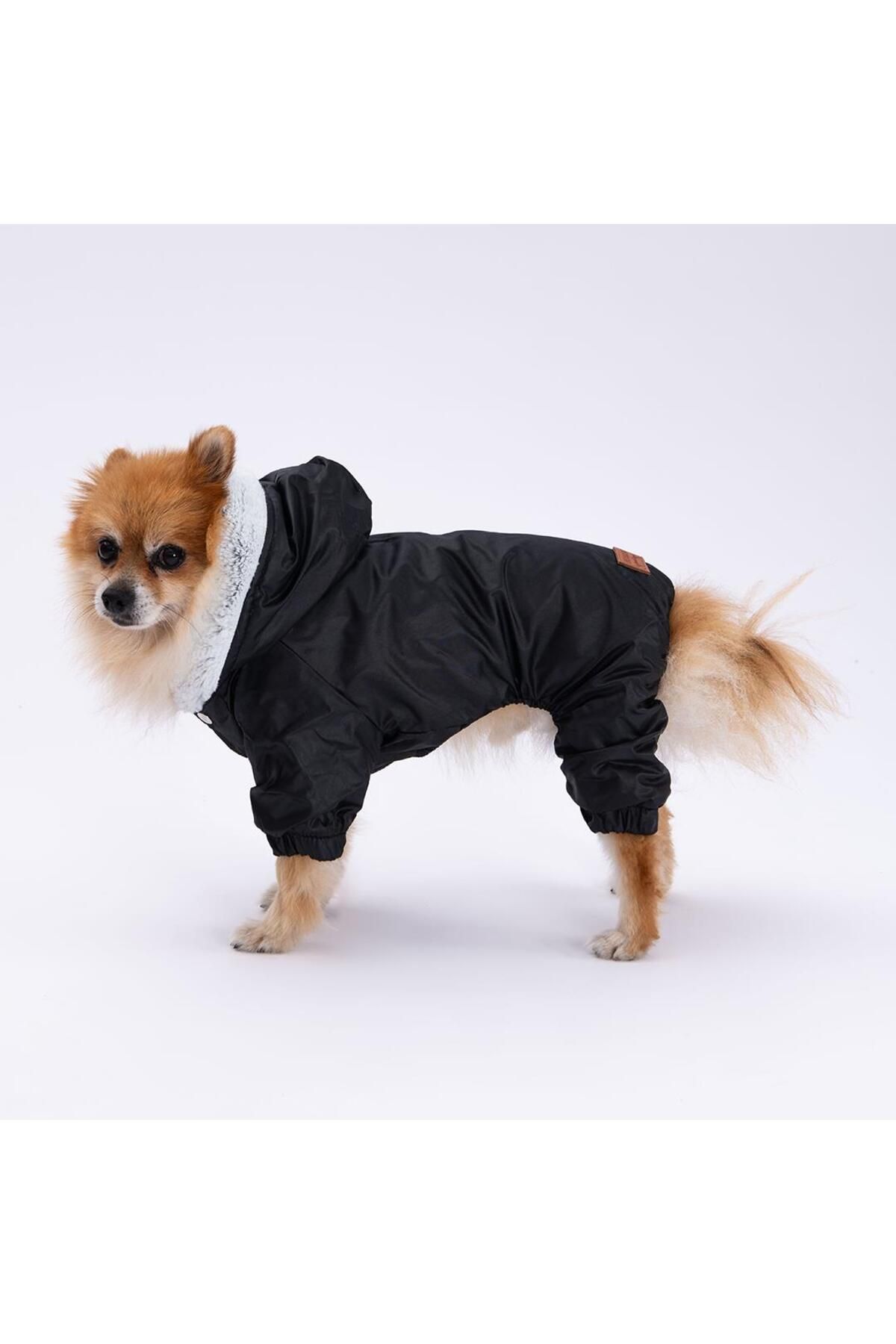 Pettrend Siyah Kürklü Tulum Yağmurluk Küçük Irk Yağmurluk Köpek Kıyafeti Köpek Yağmurluğu