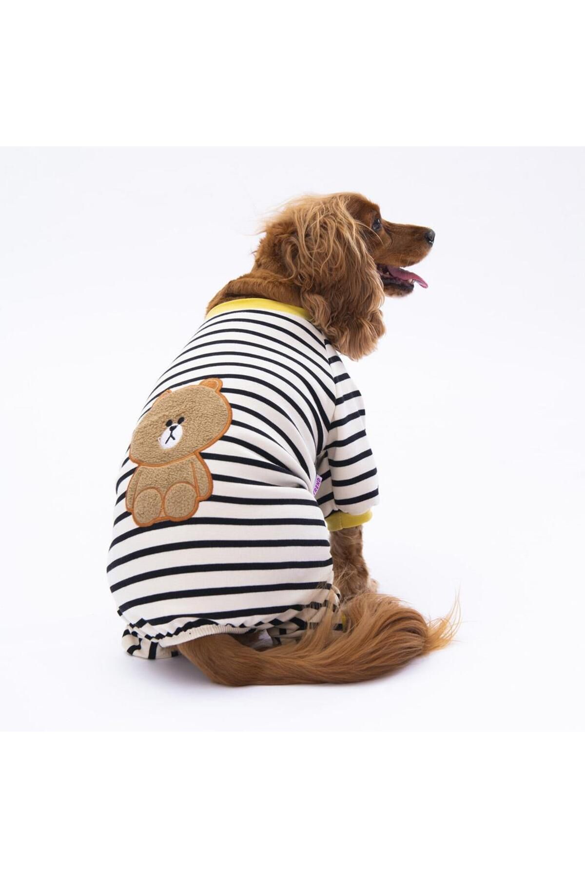 Pettrend Ayıcık Çizgili Ayılı Penye Tulum Kedi Köpek Tulumu Kedi Köpek Kıyafeti Köpek Pijaması