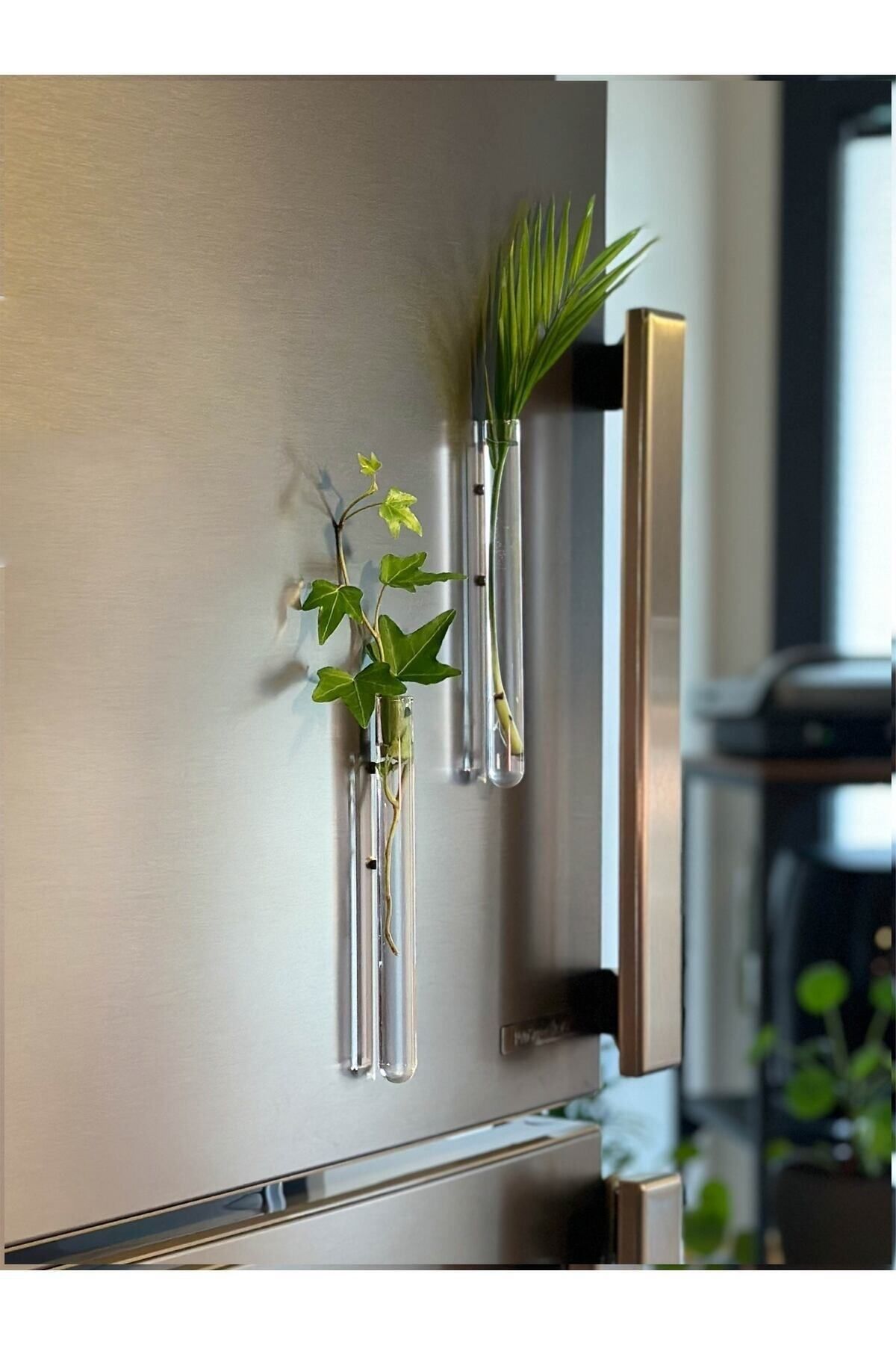Noue Store Mıknatıslı Dekoratif Cam Vazo Bitki Köklendirme Için Minimal Buzdolabı Mini Vazo Saksı 2'li 16 Cm