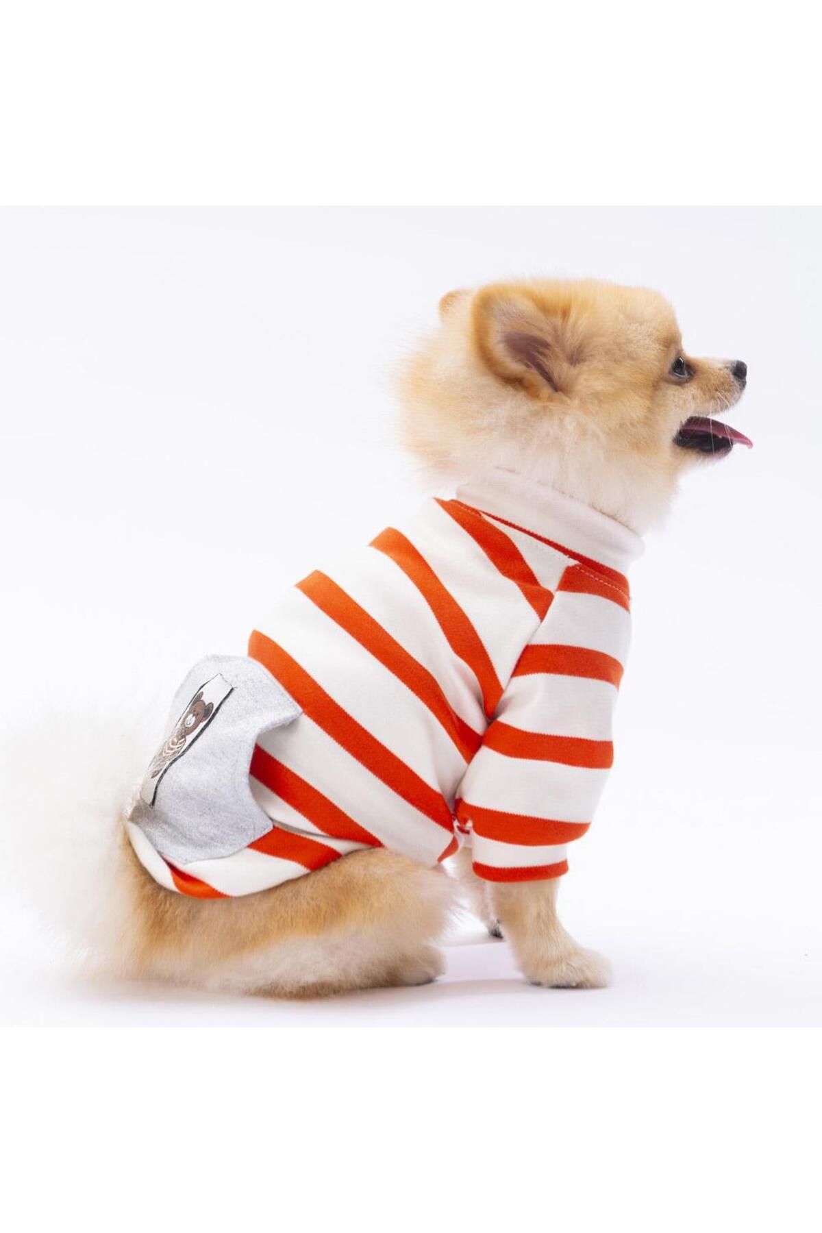 Pettrend Turuncu Çizgili Teddy Ayıcık Bear Kedi- Köpek Sweatshirt Kedi Köpek Kıyafeti Köpek Giysisi