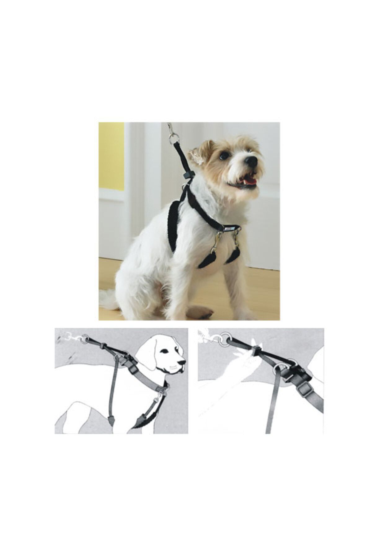 Pawise Dog Training XS (34"x9-12") Eğitim Tasması (679-13521)