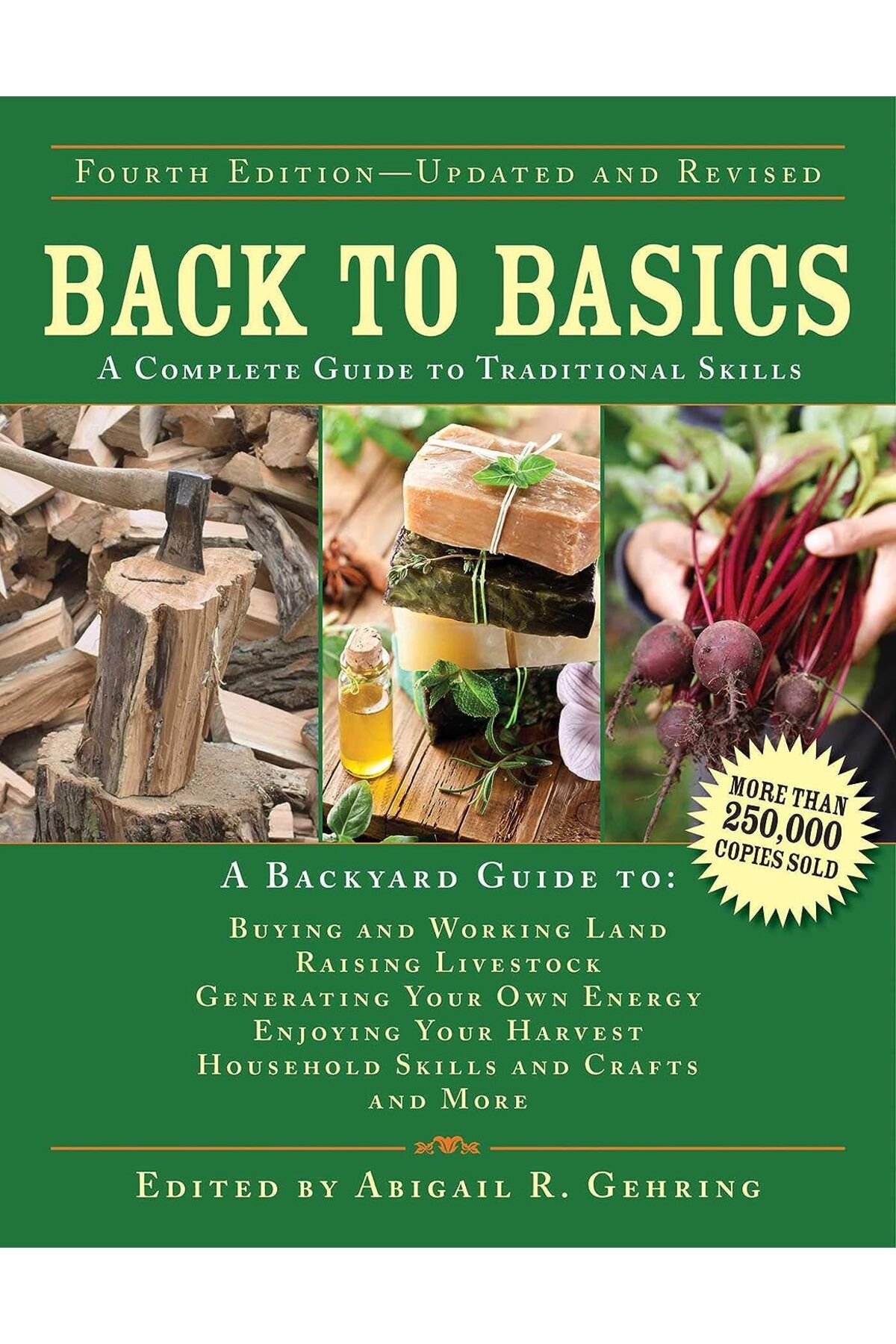 Skyhorse Publishing Back to Basics: A Complete Guide to Traditional Skills - Abigail Gehring