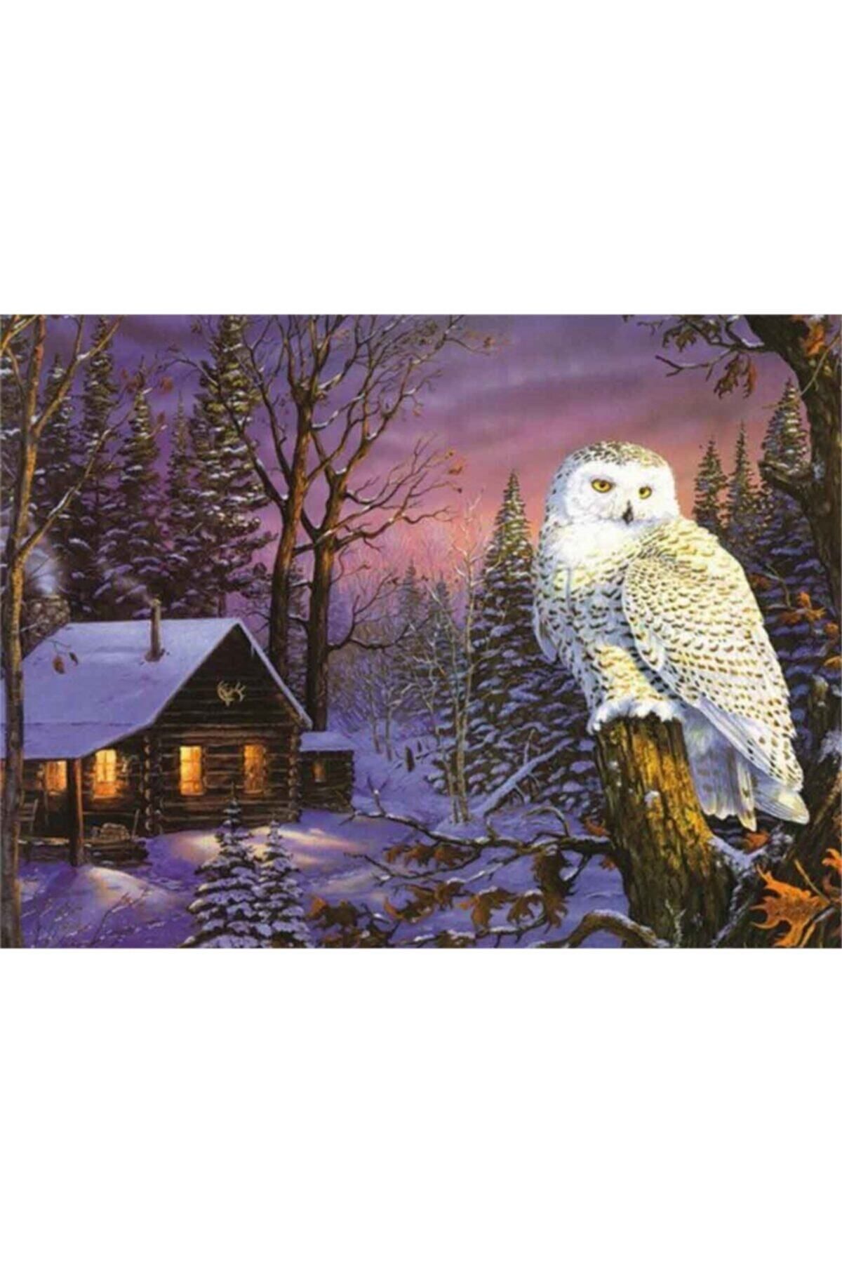 MOVAS Sanat Gece Avında Beyaz Baykuş | Elmas Mozaik Tablo | Mozaik Puzzle | 65x50 | E20201908m