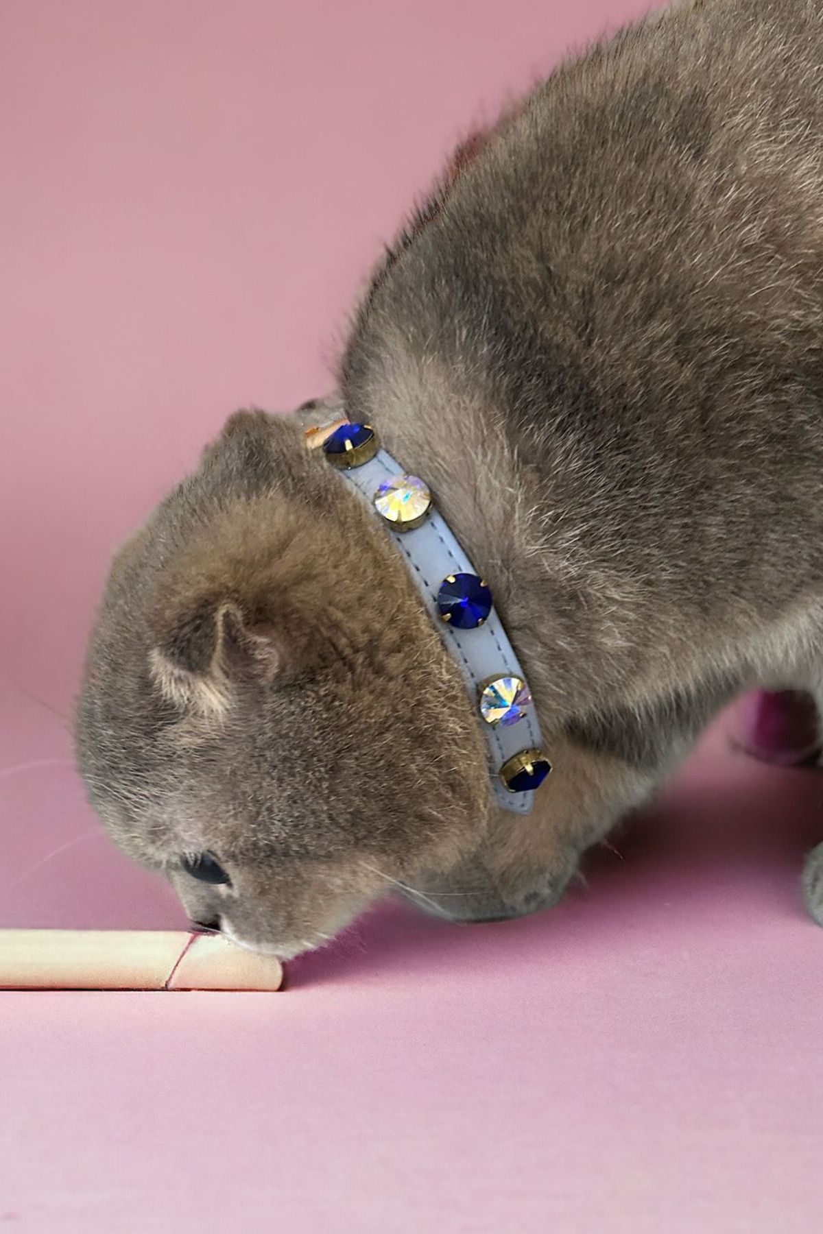 TheTailor Swarovski Taşlı Kedi Boyun Tasması