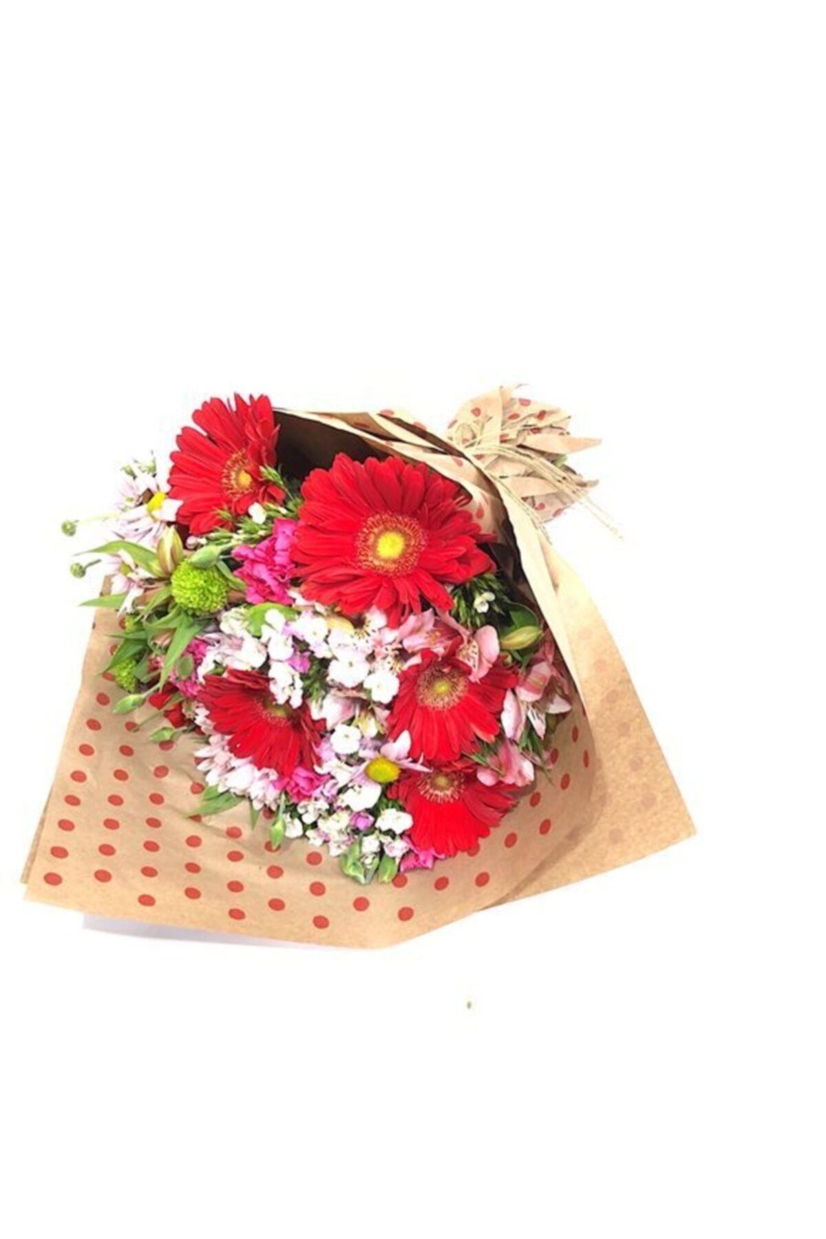 Çiçek Yolla Beatrix Kırmızı Mevsim Gerbera Buketi
