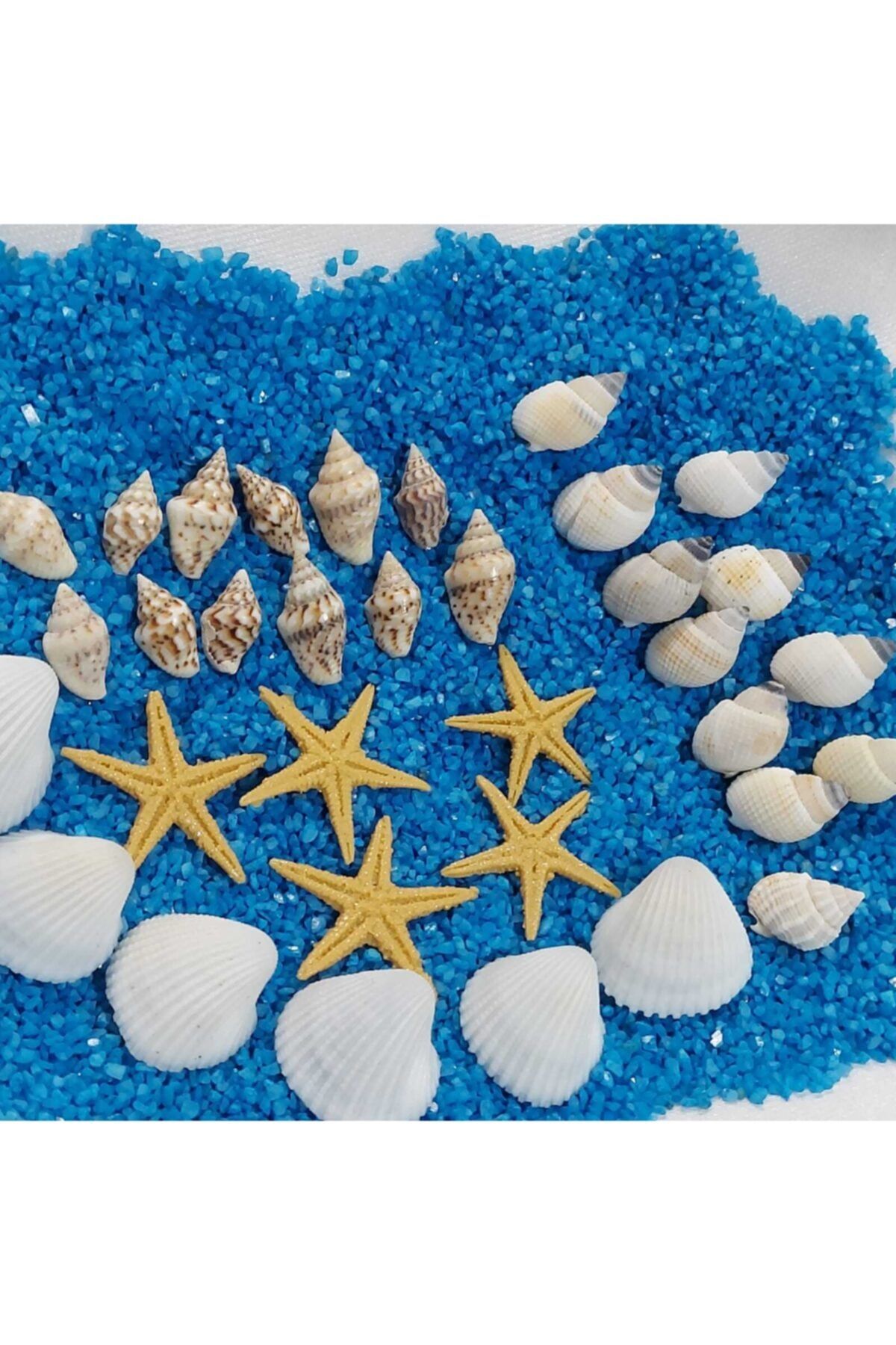 Aker Hediyelik Deniz Kabukları Silis Kabuk 07mm2,5cm Hesaplı Deniz Kabuğu 150gr + 150gr Teraryum Mavi Kum+yıldız