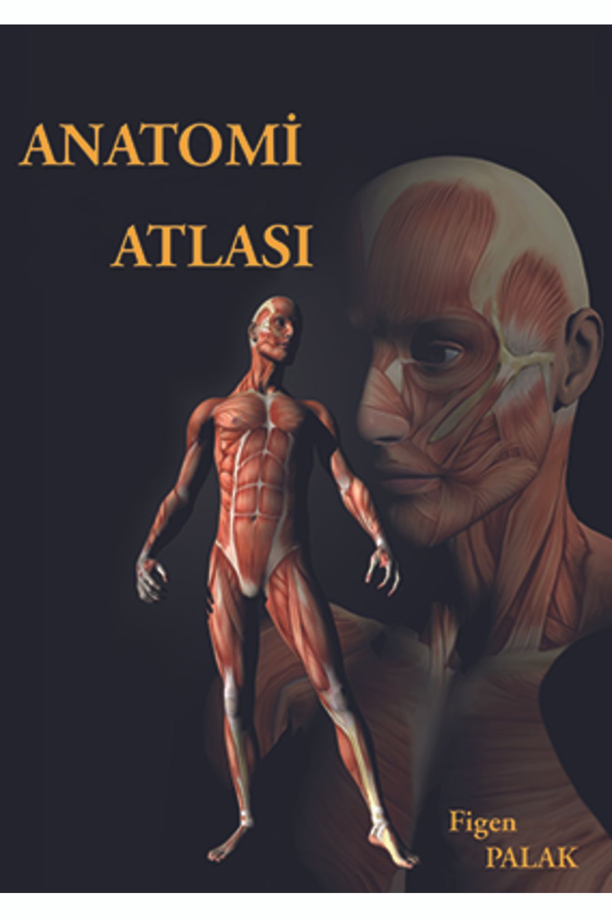 Bedray Yayınevi Anatomi Atlası - Figen Palak