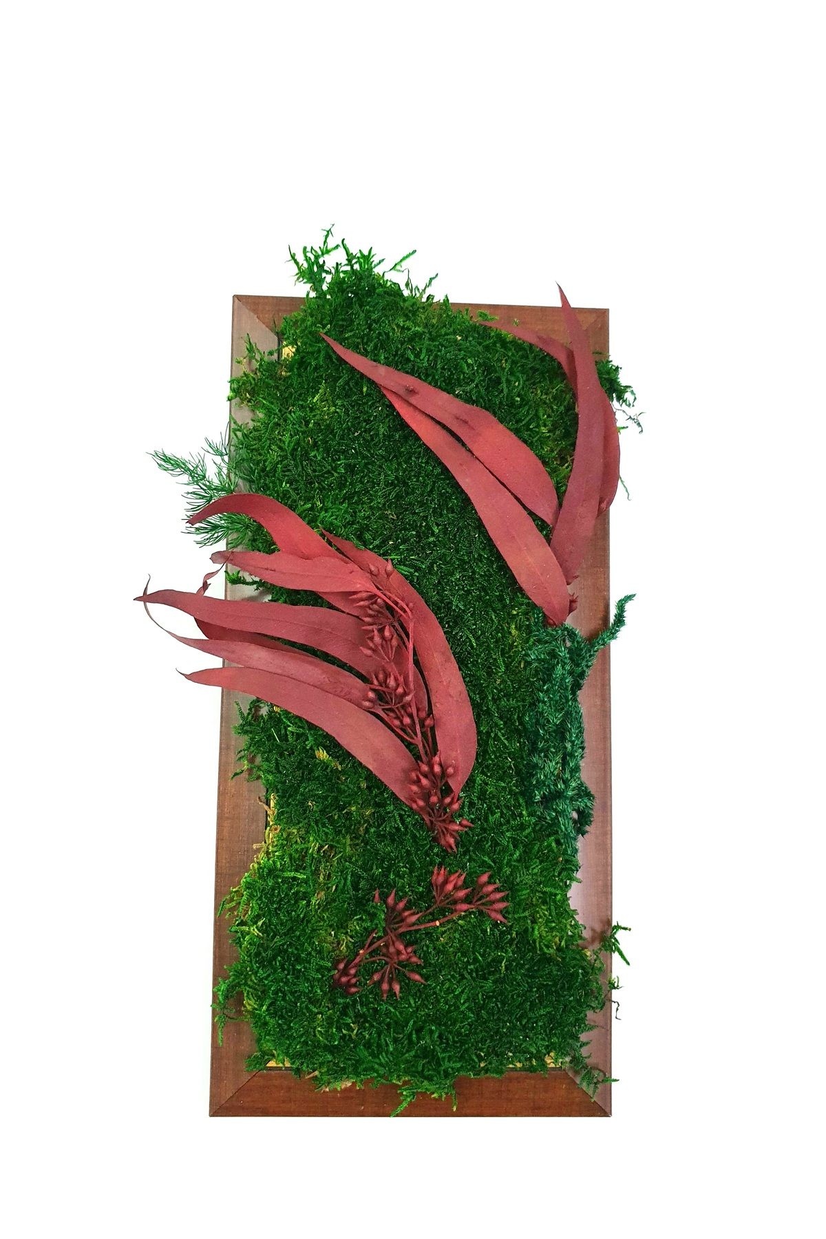 Tanoğlu Design Mumyalanmış Gerçek Bitki Orman Tablo Canlı Yosun Tablo Duvar Aksesuarı Stabilize Bitki Çiçek Tablo
