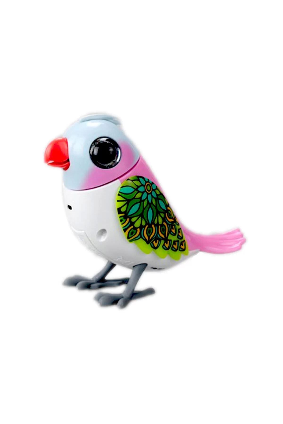 NECO TOYS Çocuk Renkli Eğlenceli Cıvıldayan Ve Şarkı Söyleyen Sevimli Kuş