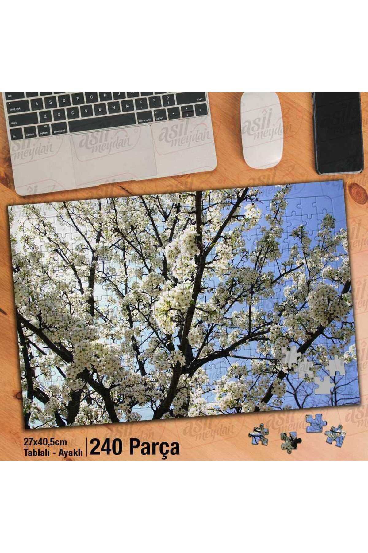 Genel Markalar Asil Hobi Bahar - Çiçek Açmış Ağaç Dalları - Doğa Yapboz-ayak Destekli Çerçeveli 240 Parça Puzzle
