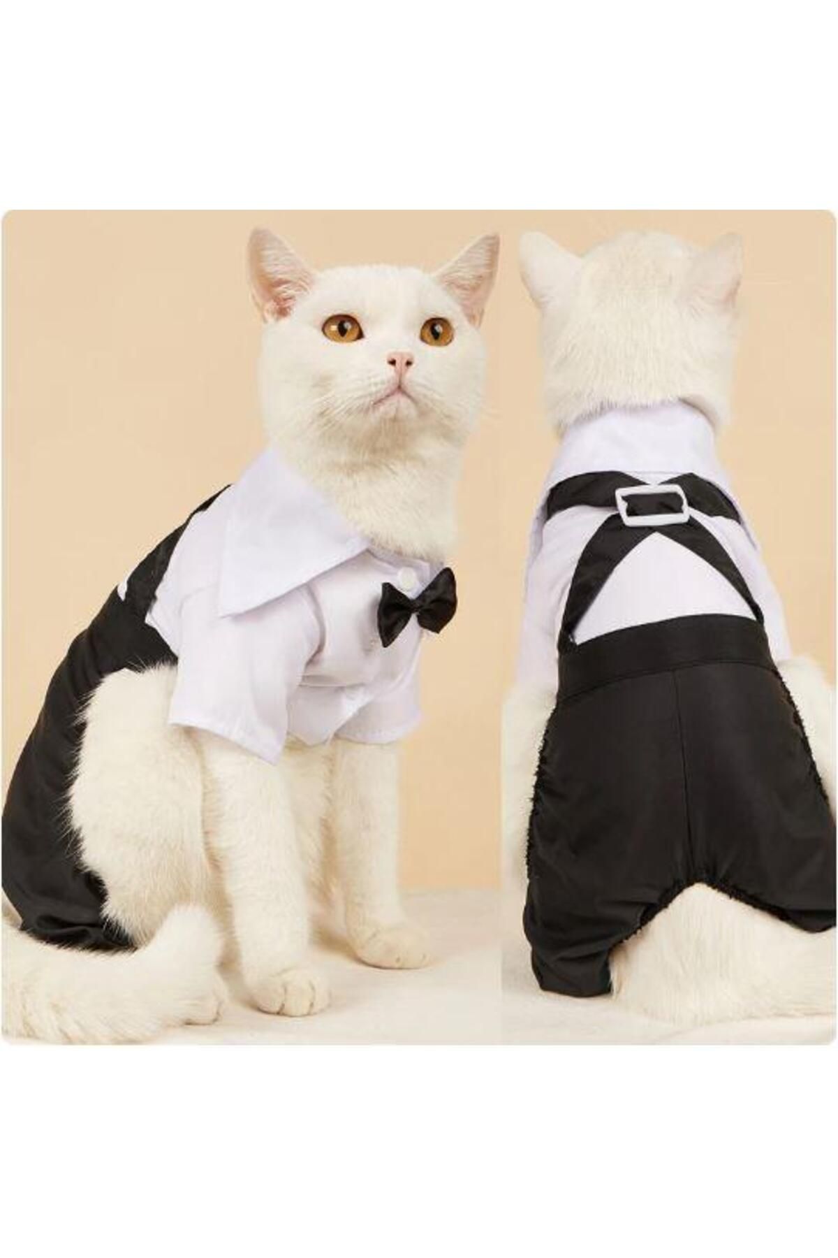 Kemique Tuxedo Smokin Kedi Kıyafeti Damatlık