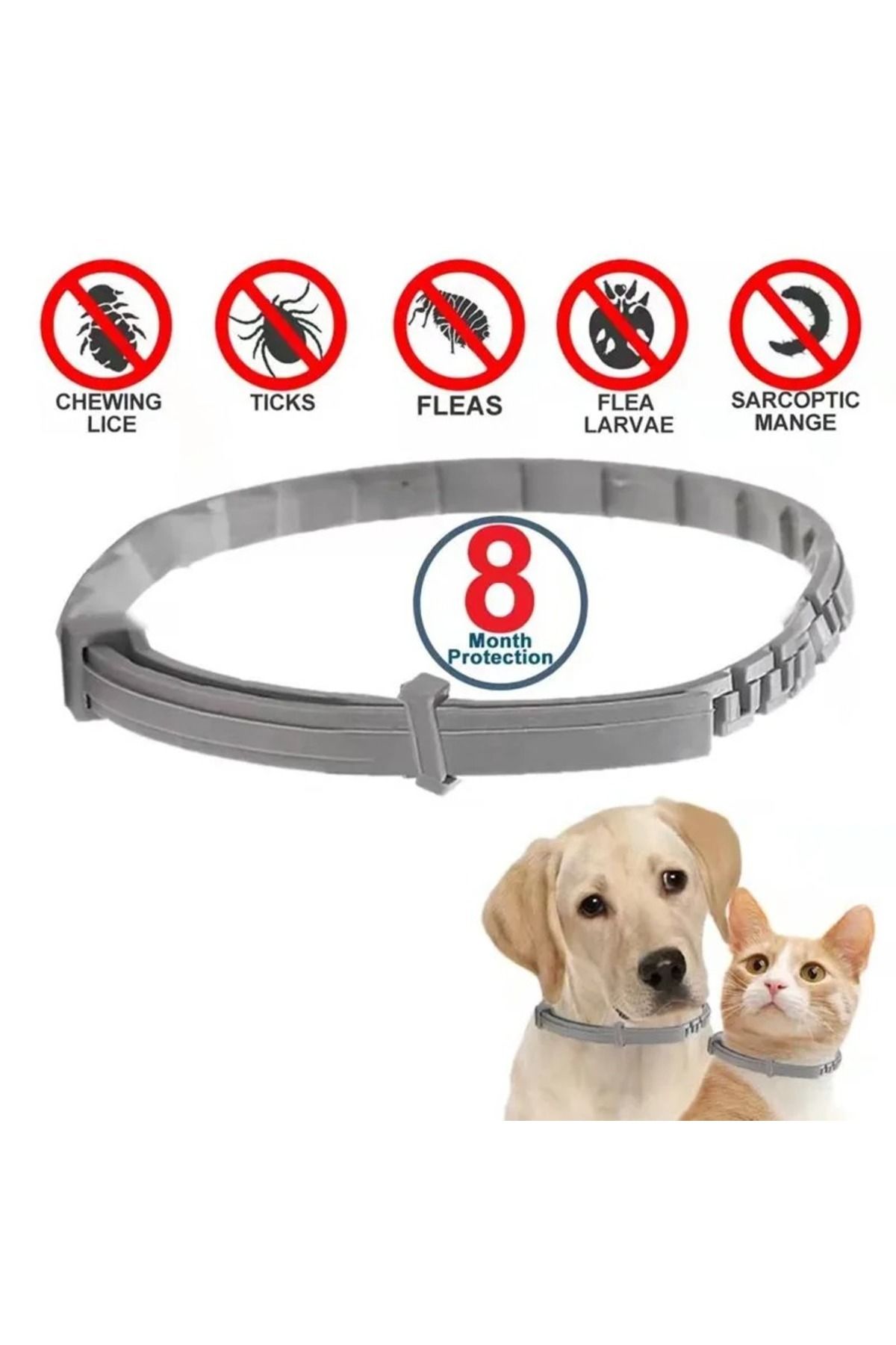 Dream Plus Kedi-Köpek Anti Pire Kene Önleyici Tasma- 38 Cm Pire Önleyici Tasma-Kene Önleyici Tasma