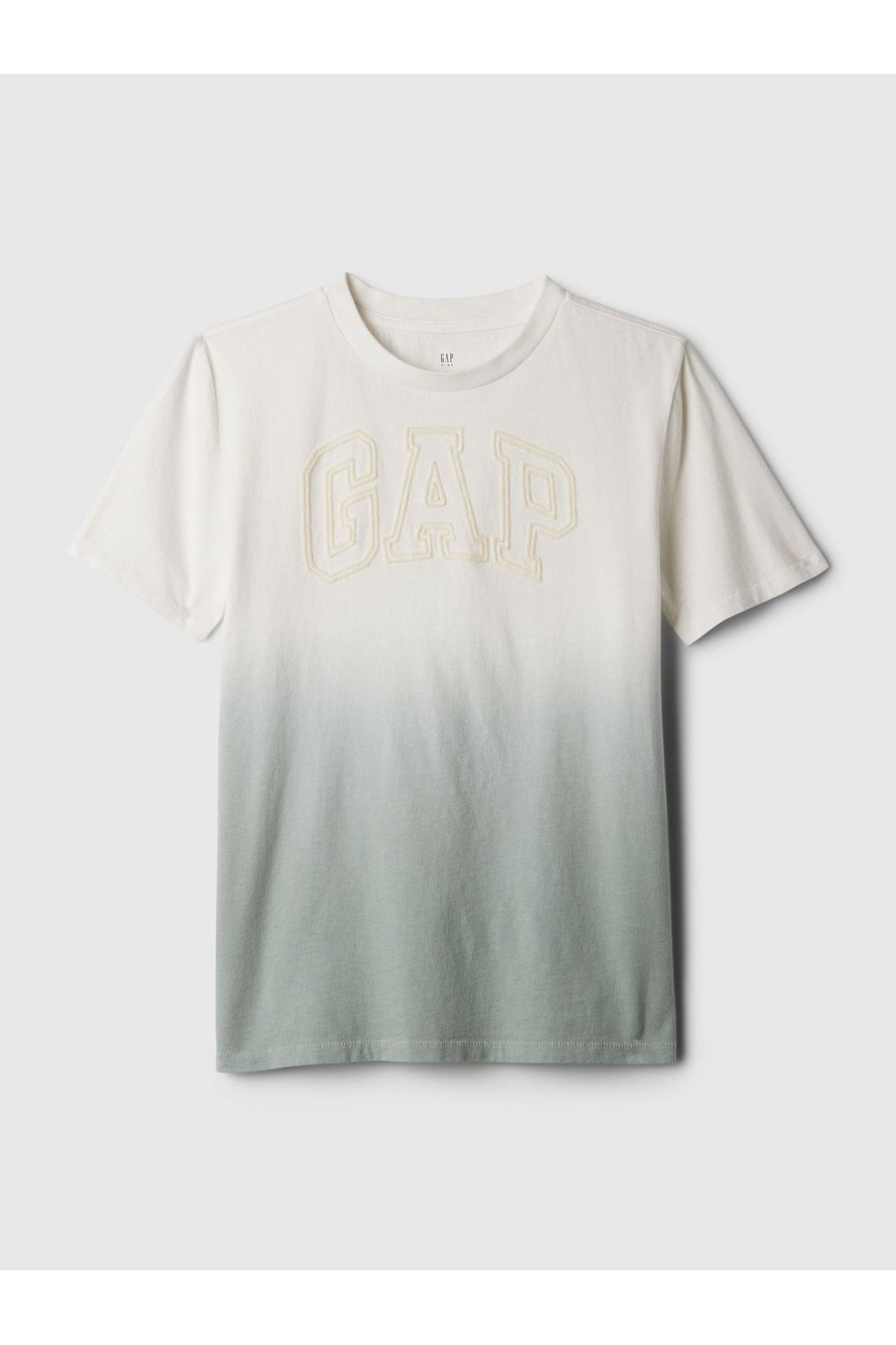 GAP Erkek Çocuk Yeşil Gap Logo T-Shirt