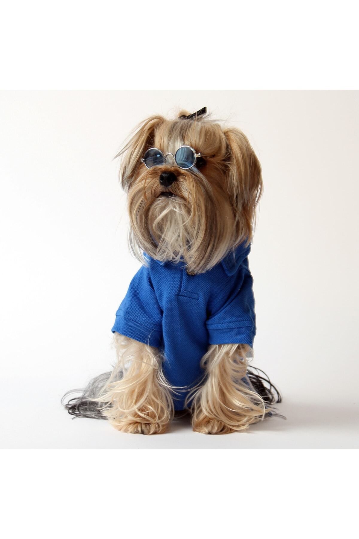 MAXSTYLESPET Lacoste Pet Tshirt (SUN&FUN) Mavi- Köpek Ve Kedi Kıyafeti
