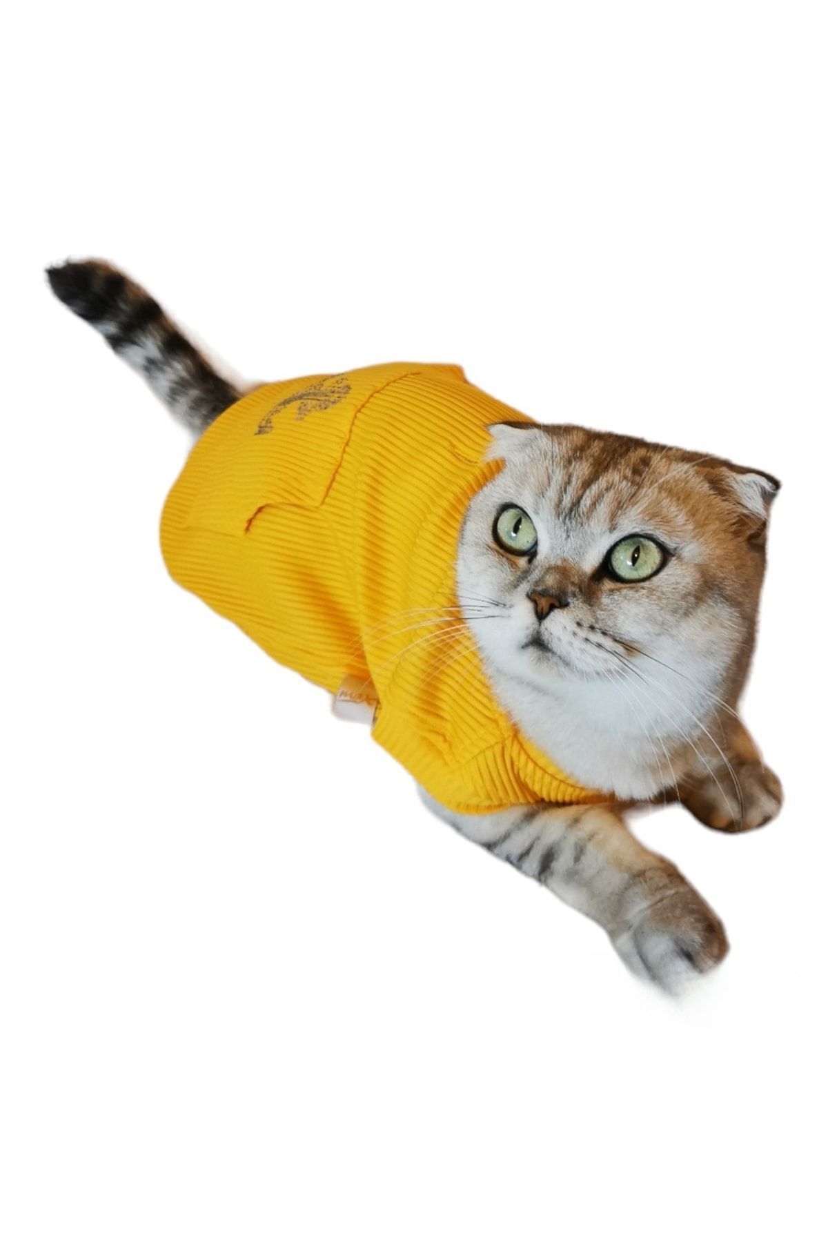 MAXSTYLESPET Kanguru Cep Çapalı Pet Kolsuz Bluz - Sarı Kavun Içi Köpek Ve Kedi Kıyafeti