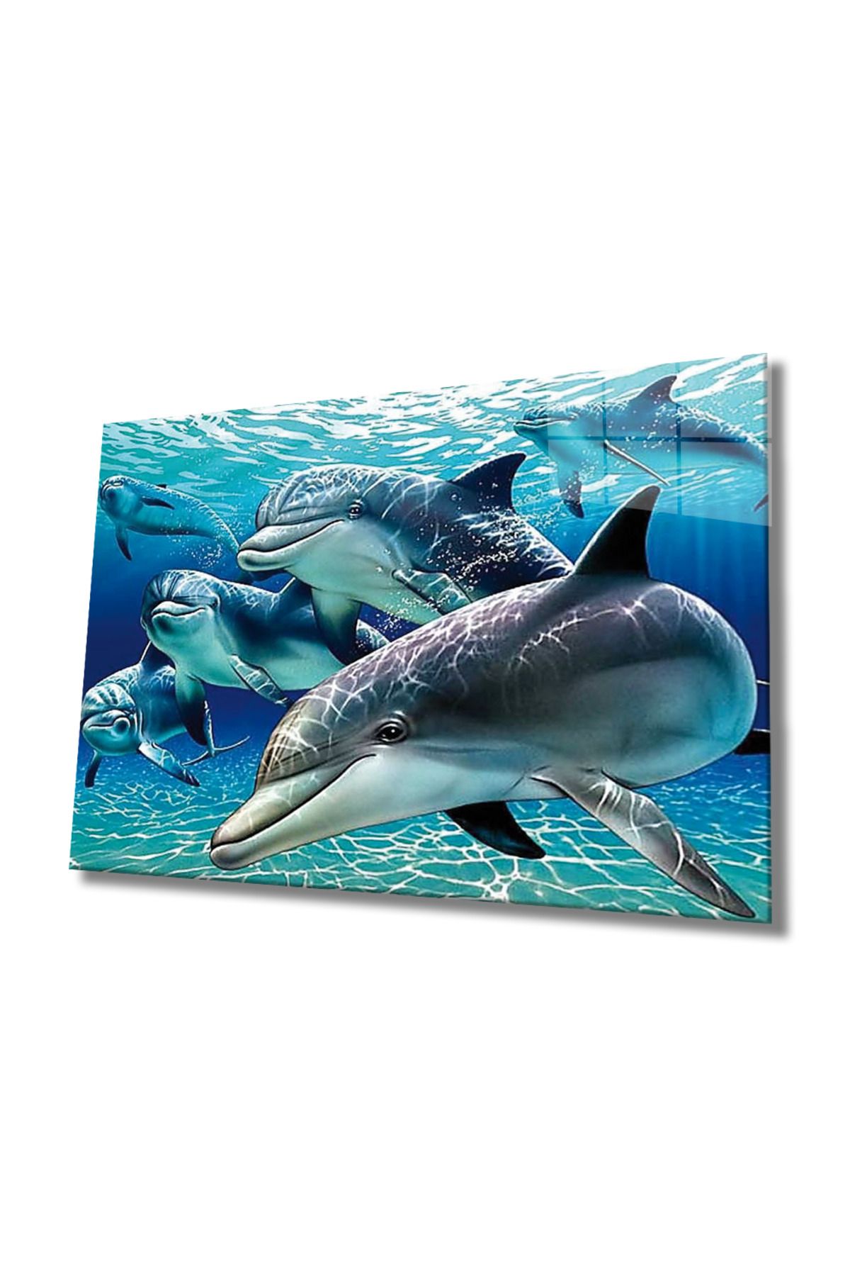 Yarımada Bahçe YB HG  Yunus Balığı Cam Tablo Dolphin