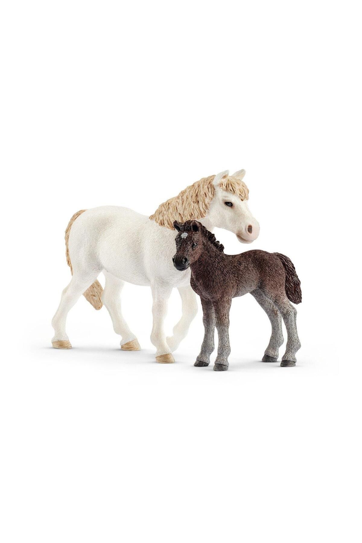 Schleich Marka: Schleich Farm World Pony Kısrak Ve Yavru Kategori: Karakter Figür Oyuncaklar