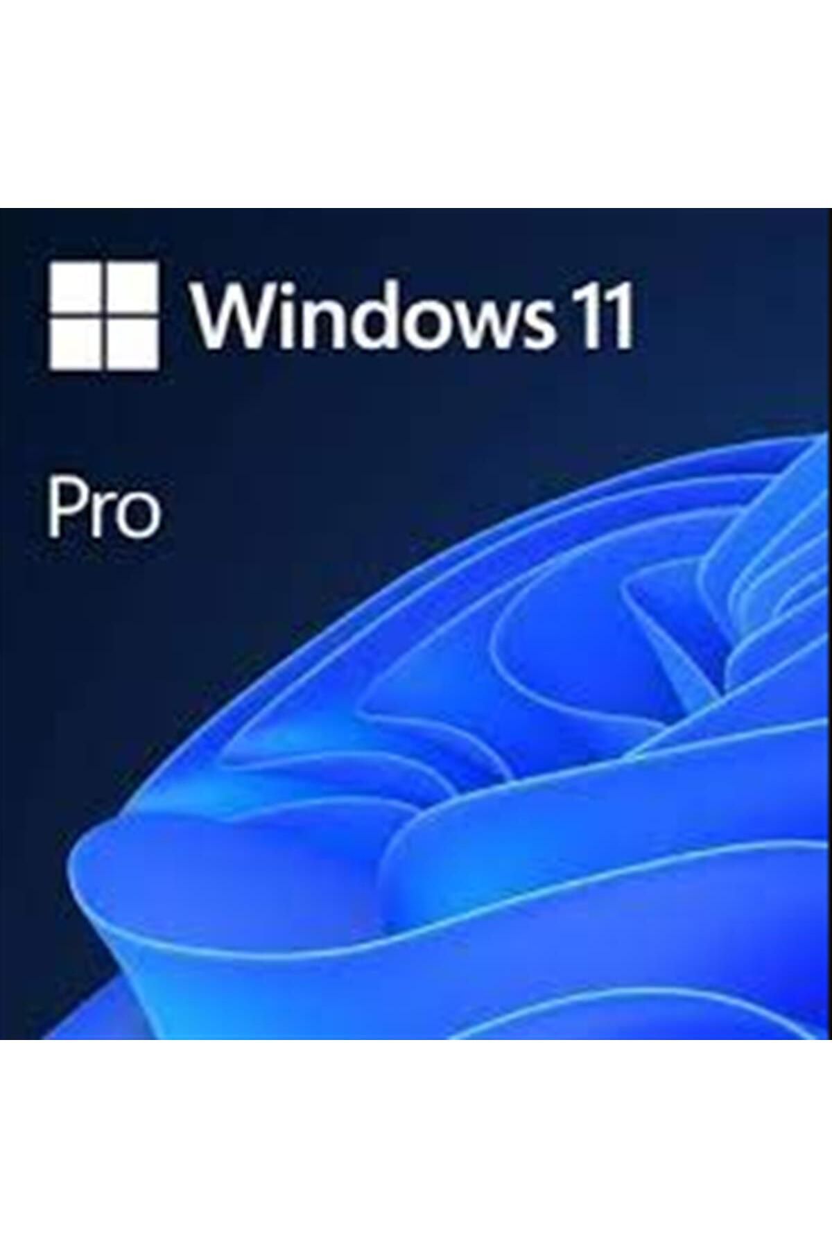 Microsoft Wındows 11 Pro - Esd Fqc-10572