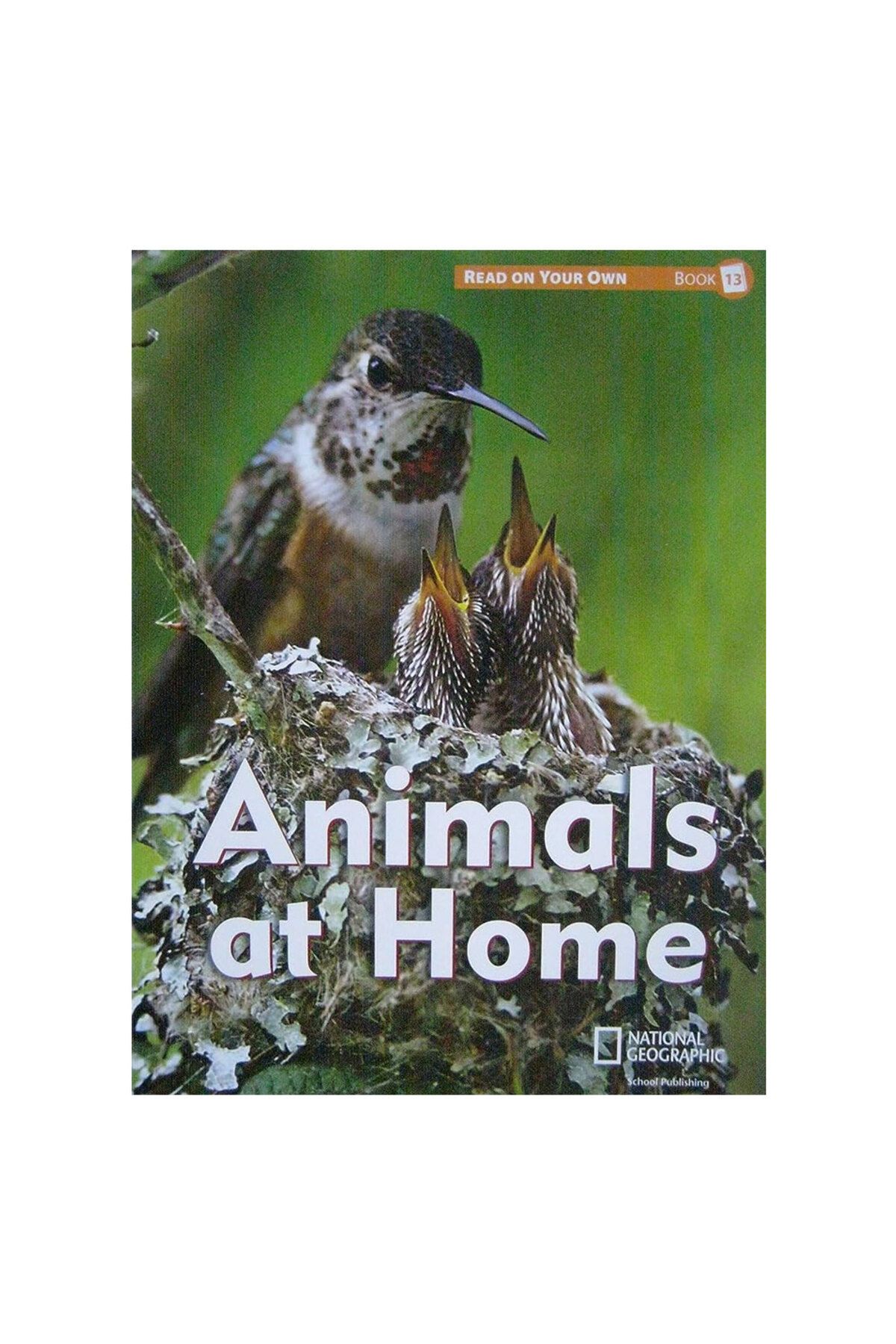 National Geographic Animals At Home Reach İnto Phonics National Geographic