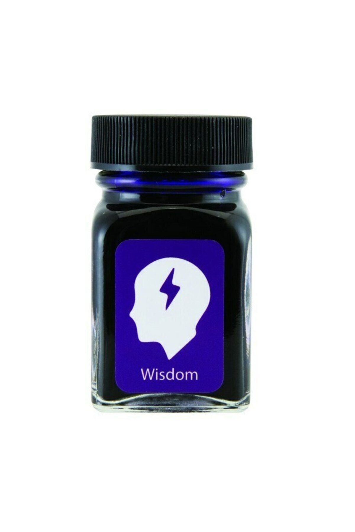 Monteverde Emotions Wisdom Purple 30 ml Şişe Mürekkep G309am