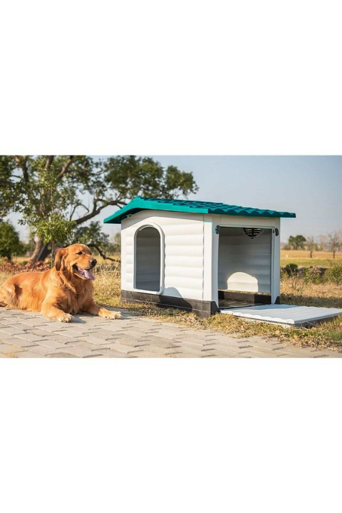 Foxy Plastik Kapısız Mavi Çatılı Köpek Kulübesi 111x84x80cm