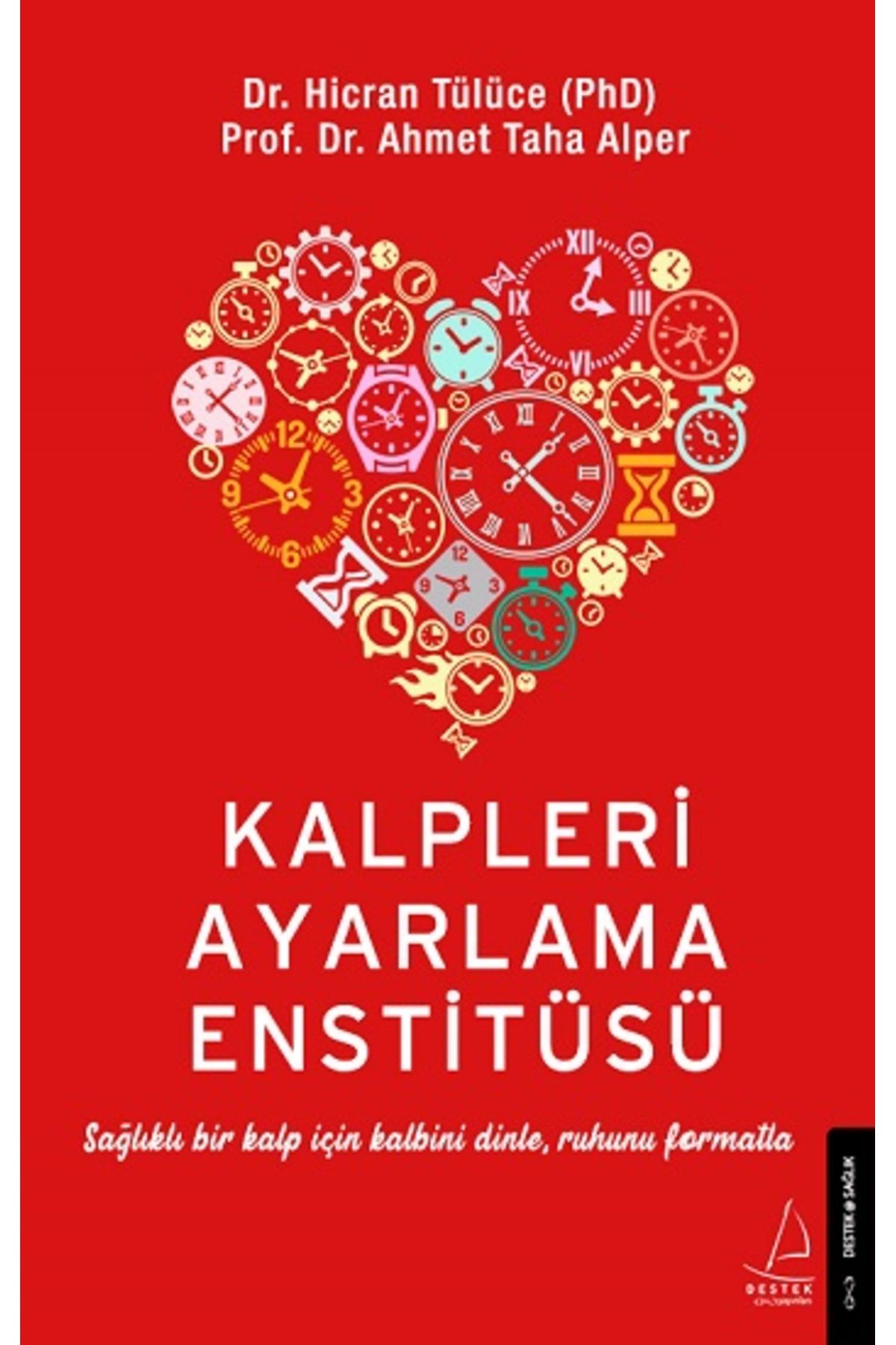 Destek Yayınları Kalpleri Ayarlama Enstitüsü kitabı - Hicran Tülüce & Ahmet Taha Alper - Destek Yayınları